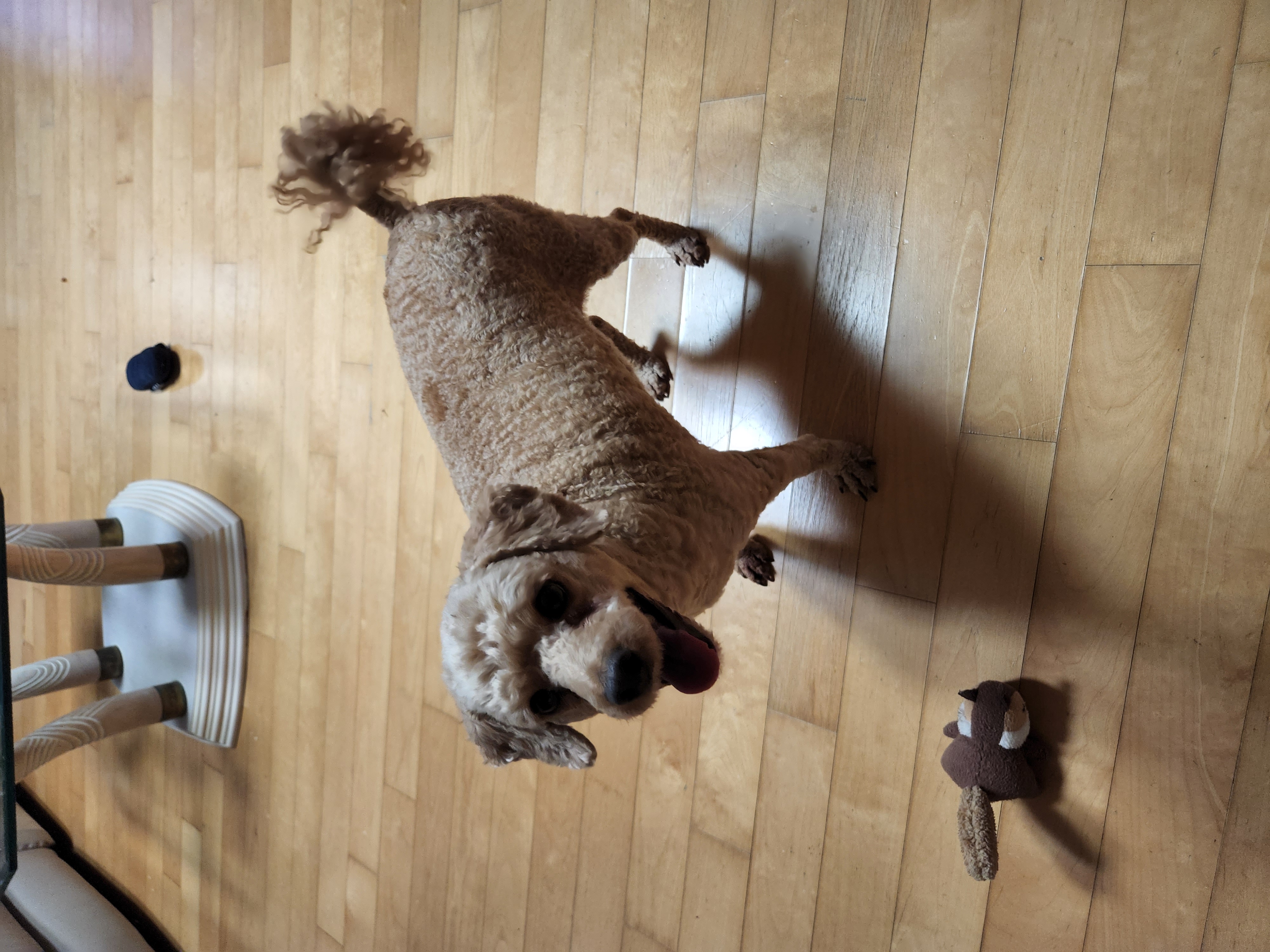 아직도 인형은 포기못해 >_<(사랑이)