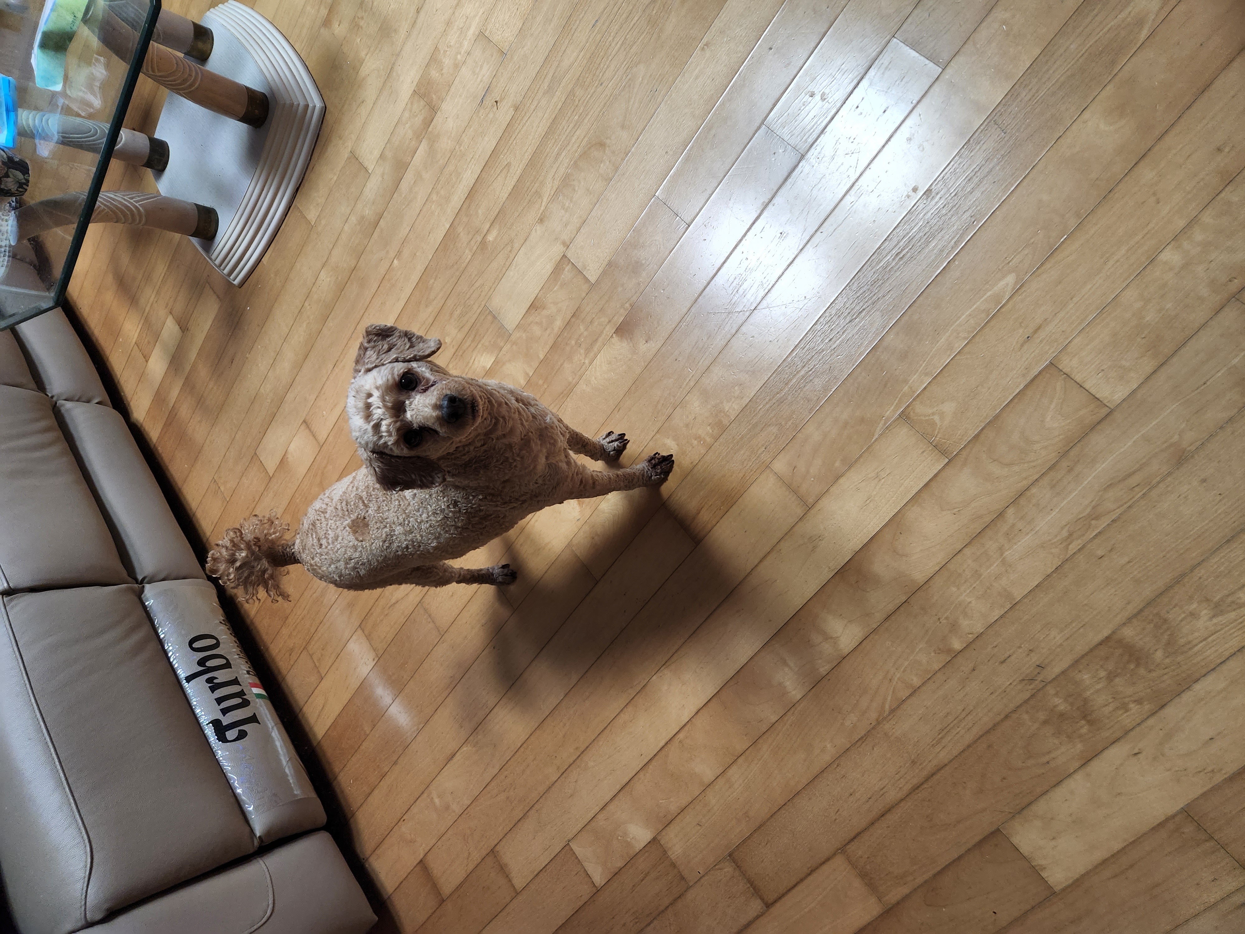 아직도 인형은 포기못해 >_<(사랑이)