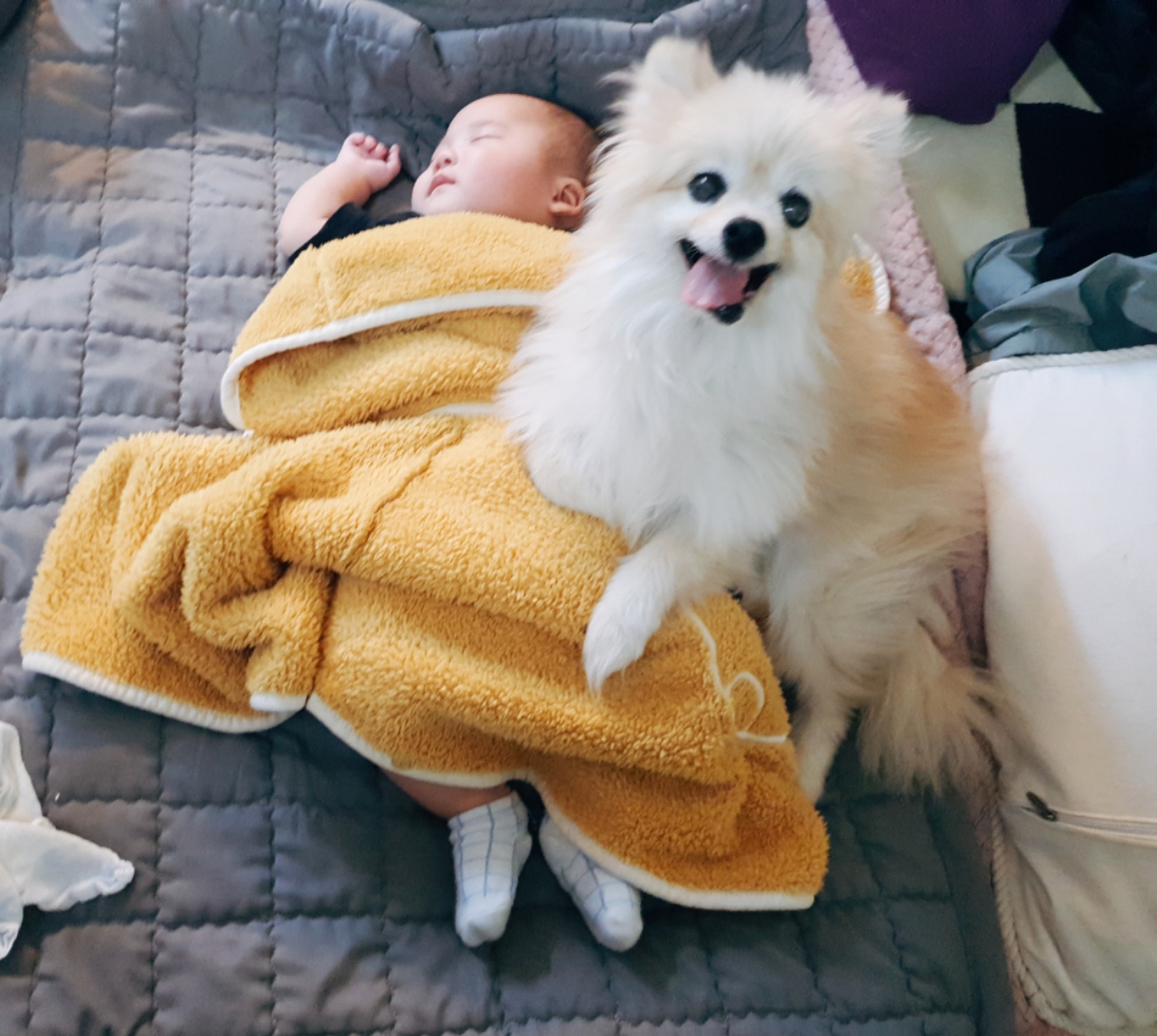 심바 소식이예요~