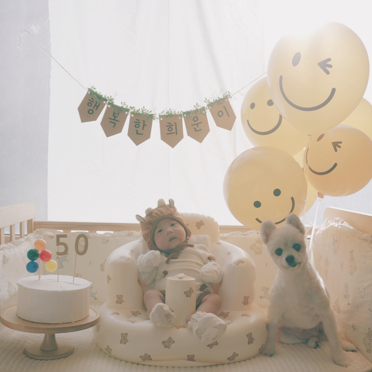 심바 소식이예요~