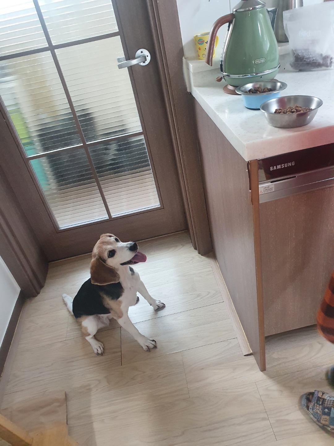 미키(루키아) 소식입니다.