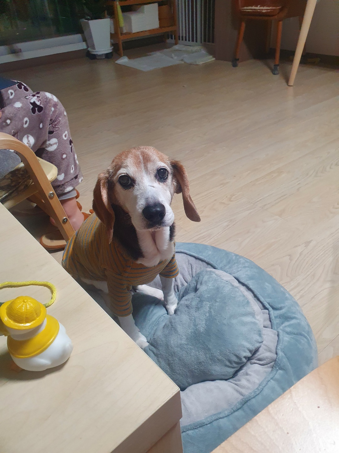 미키(루키아) 소식입니다.