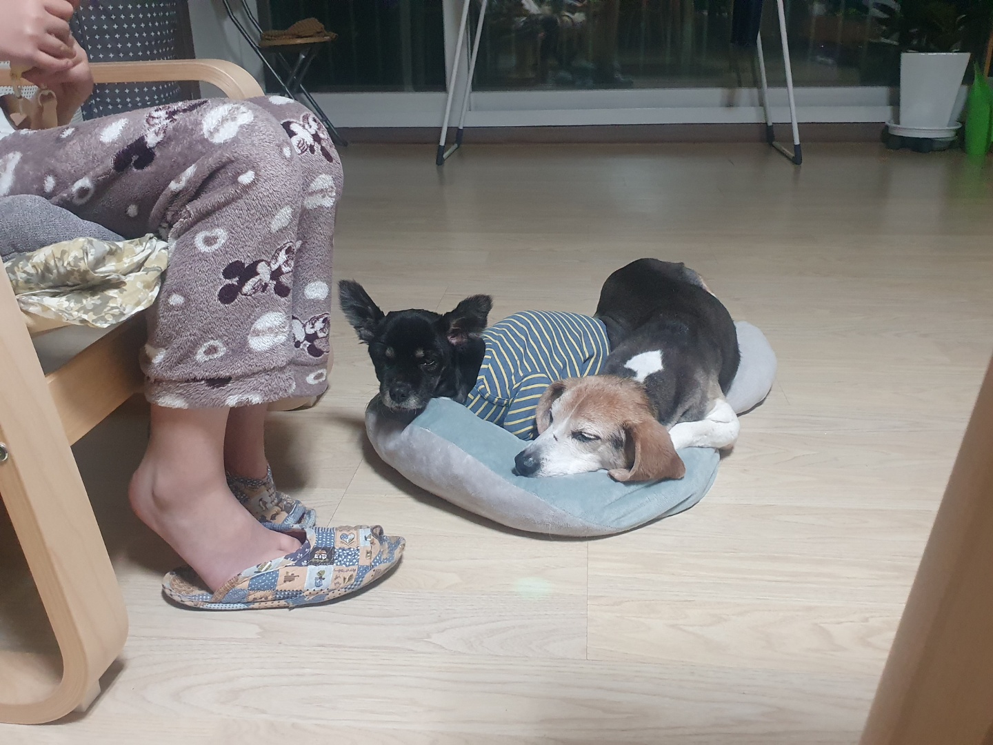 미키(루키아) 소식입니다.