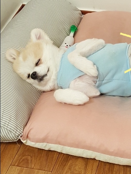 레오에요~( 곤지암금동이)