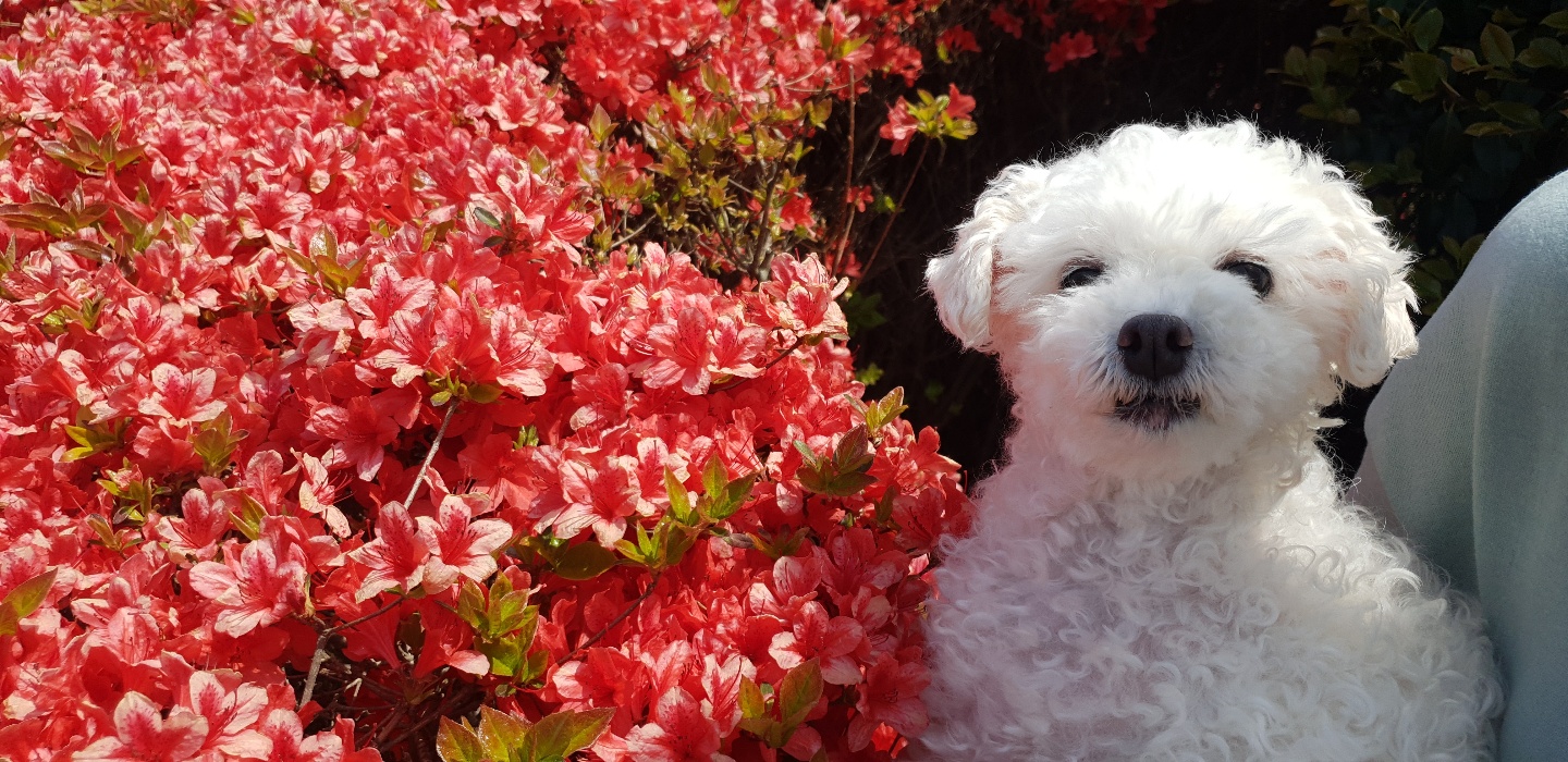 이곤이와 벌써 1년 ♡