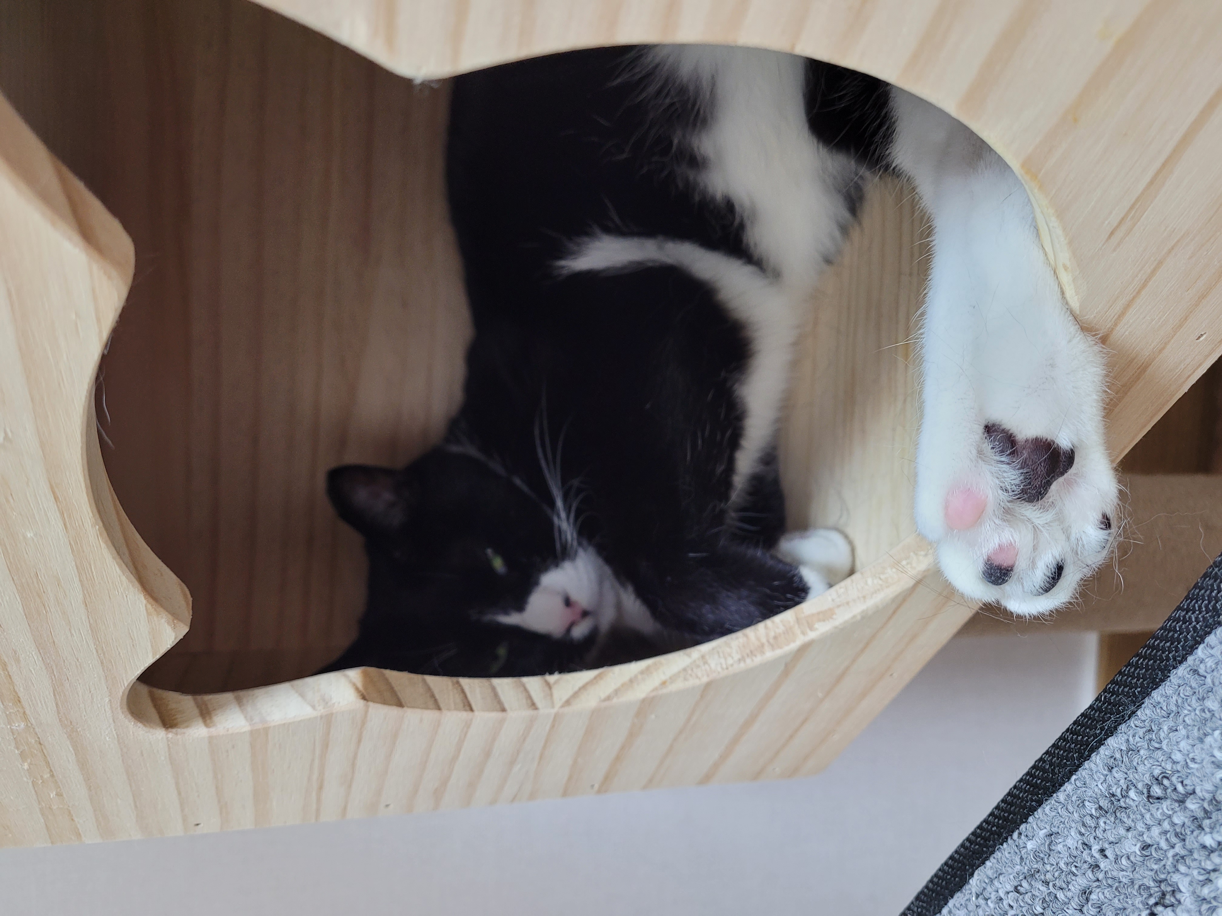 이루~ 지금은 레오!! 잘지내는거 맞죠?