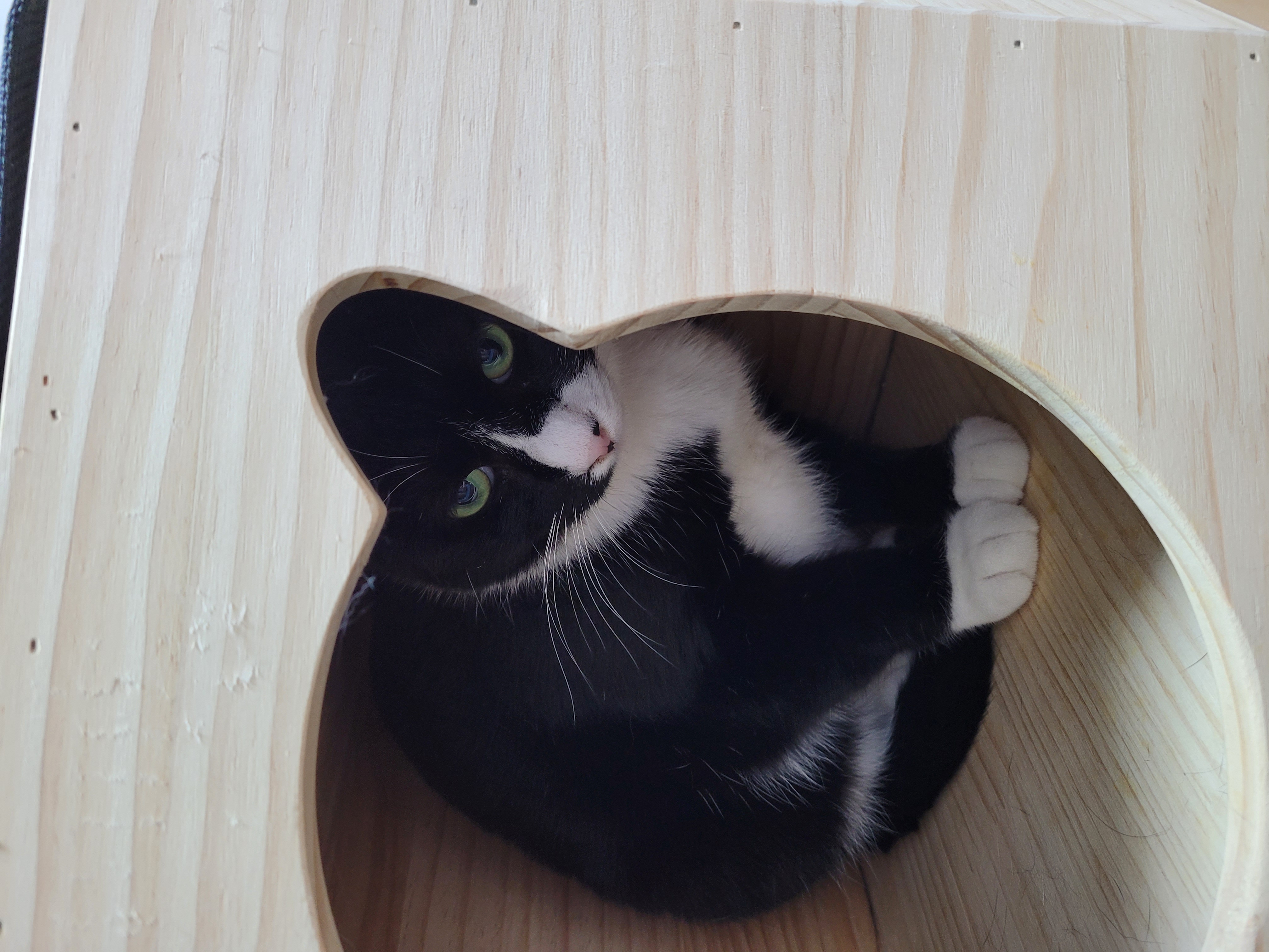 이루~ 지금은 레오!! 잘지내는거 맞죠?