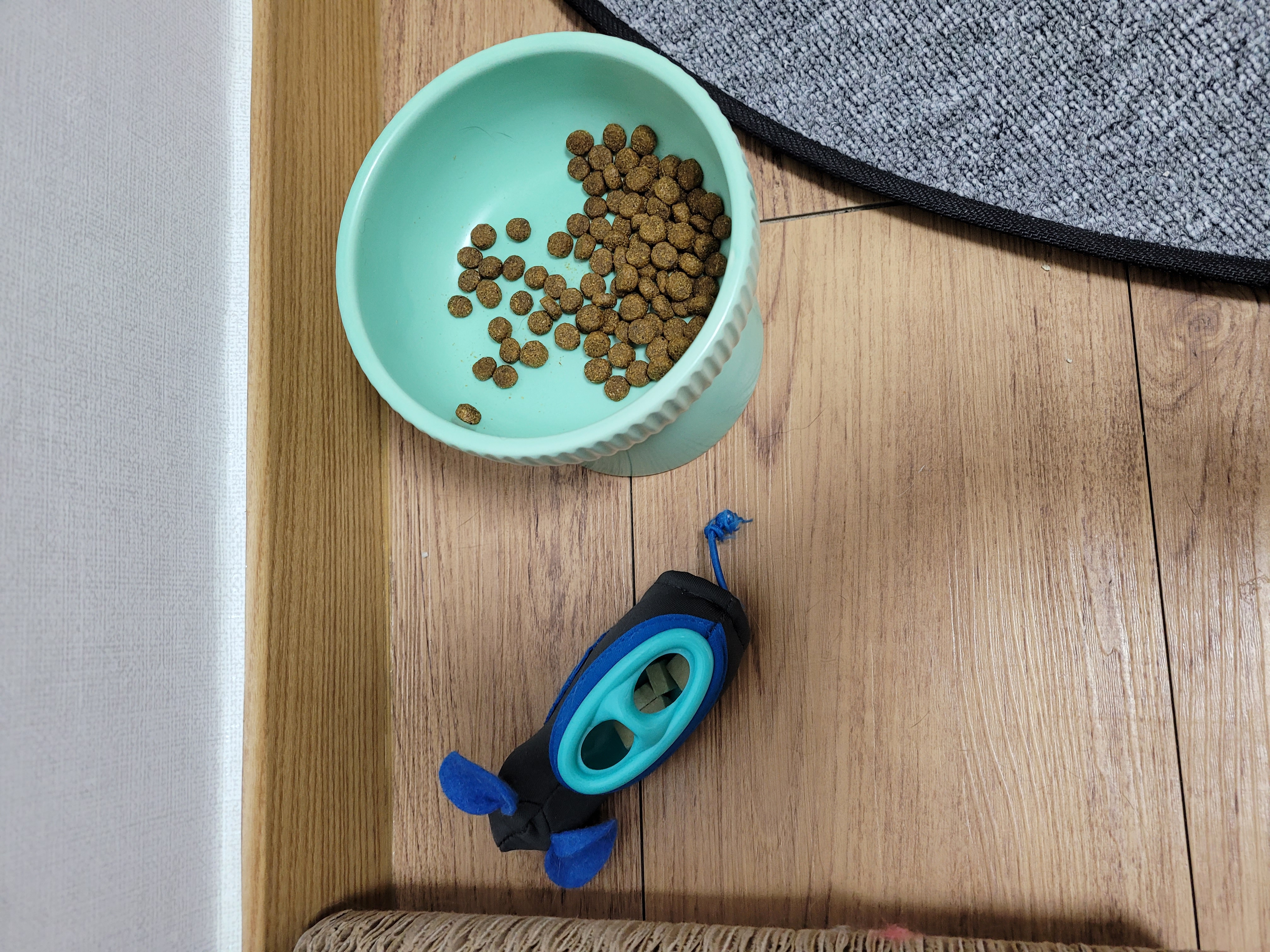 이루~ 지금은 레오!! 잘지내는거 맞죠?