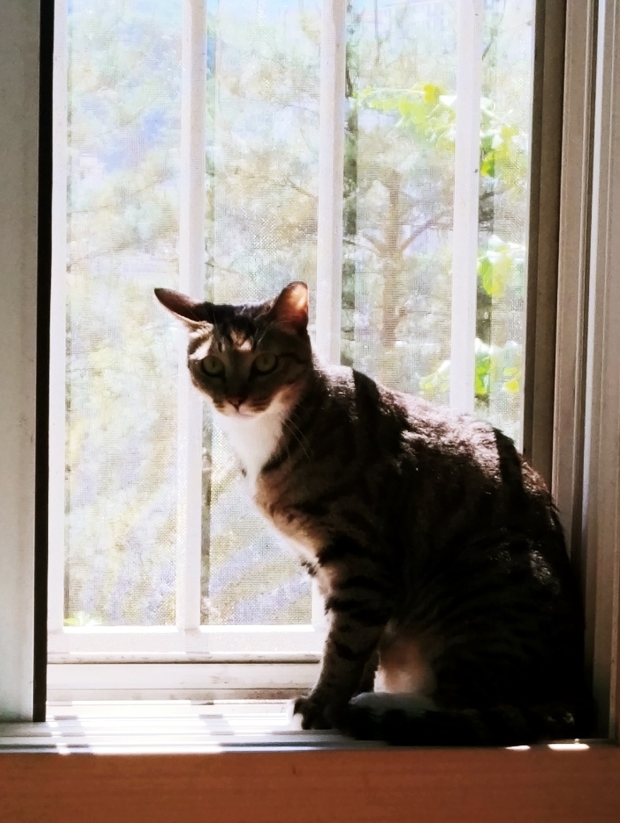 낭만이(센터명:검이)와 한달이 되었습니다.