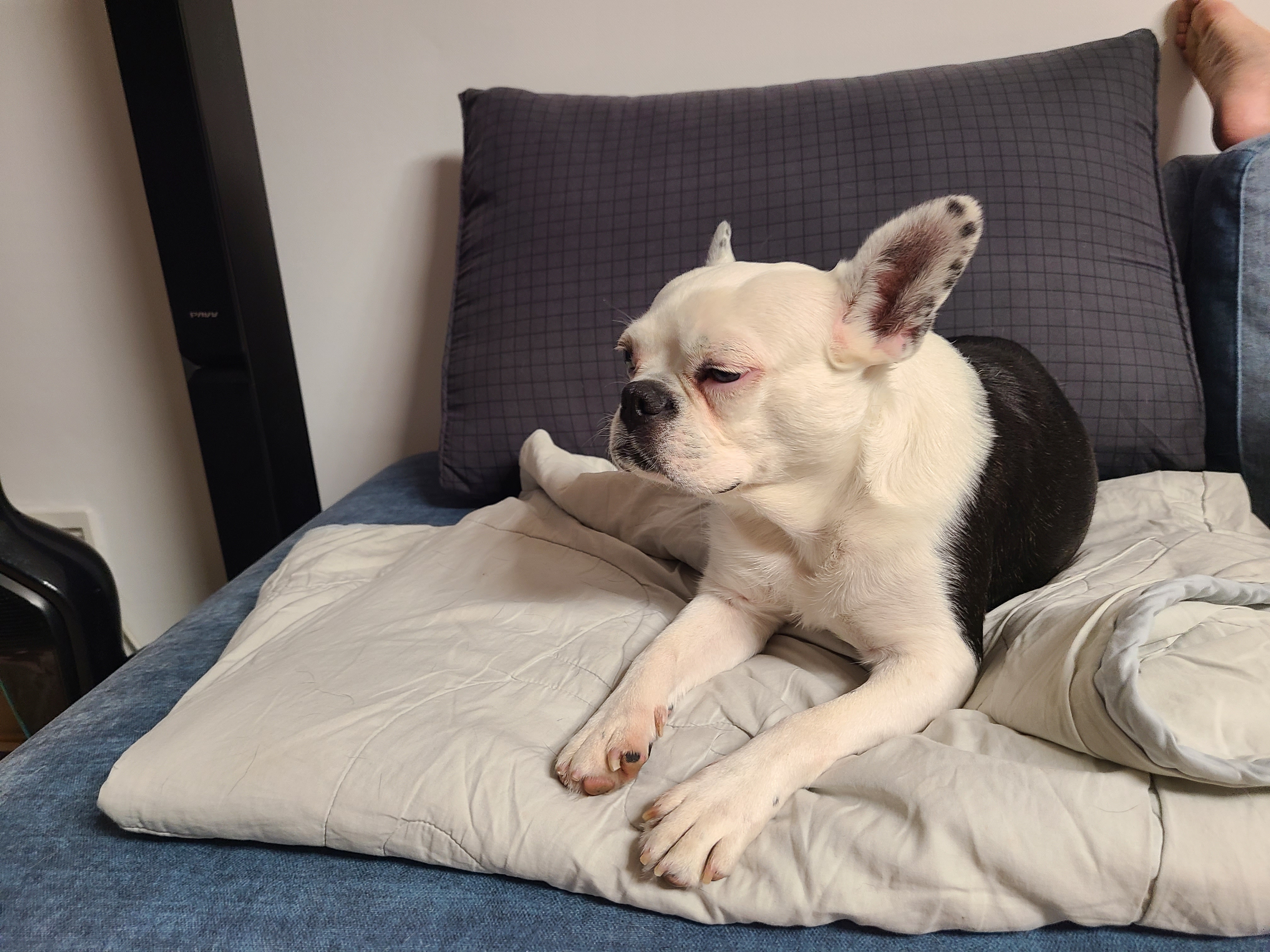 애둥이 벌써 4개월^^