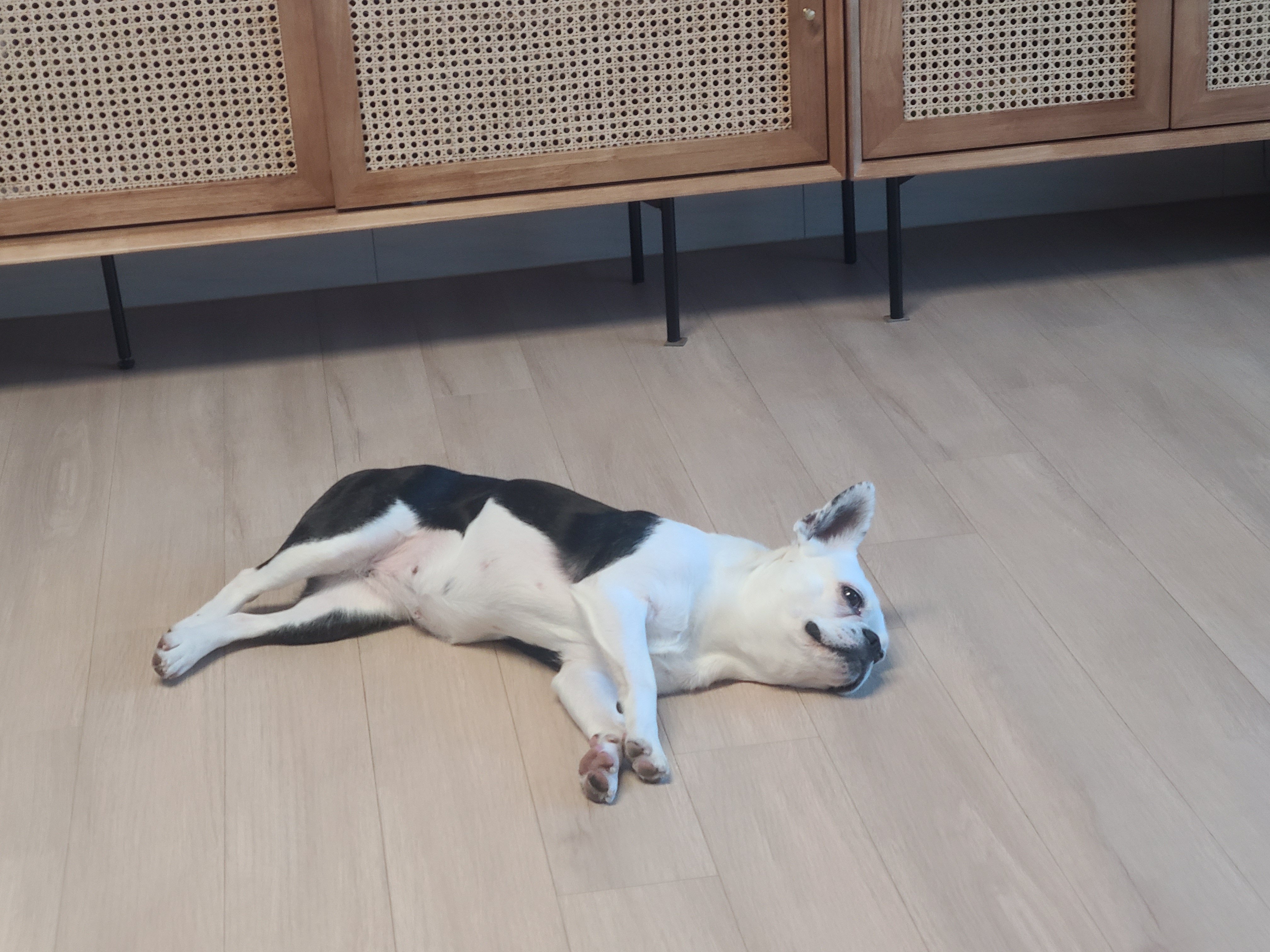 애둥이 벌써 4개월^^