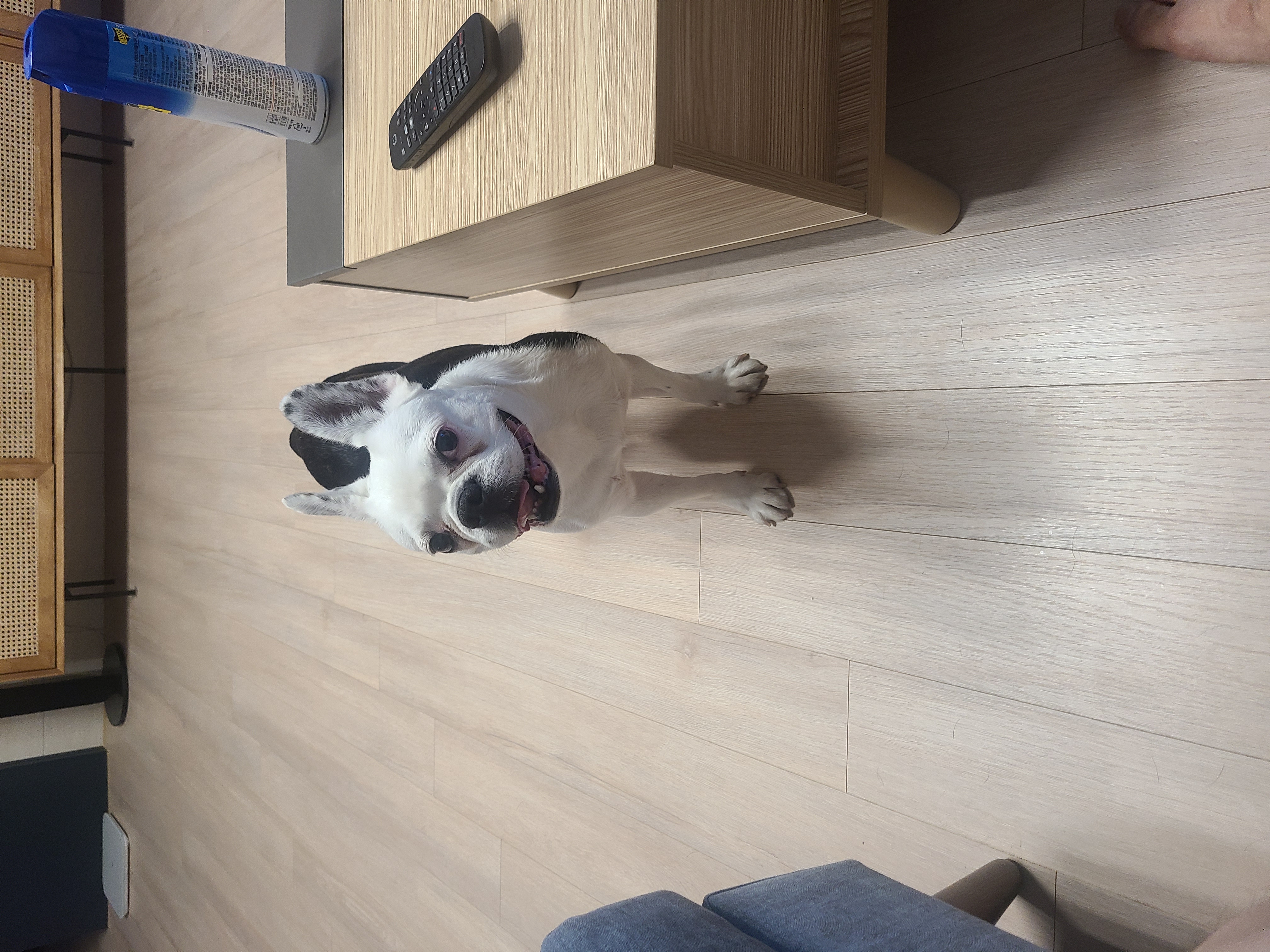 애둥이 벌써 4개월^^