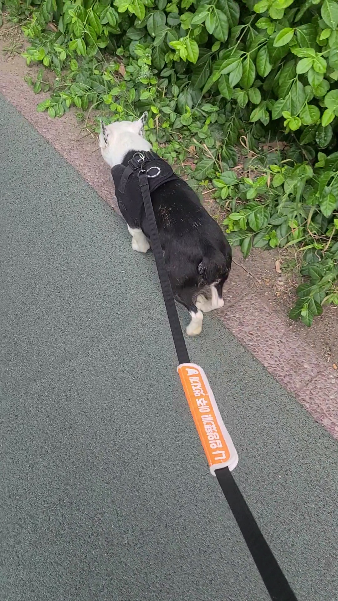 애둥이 벌써 4개월^^