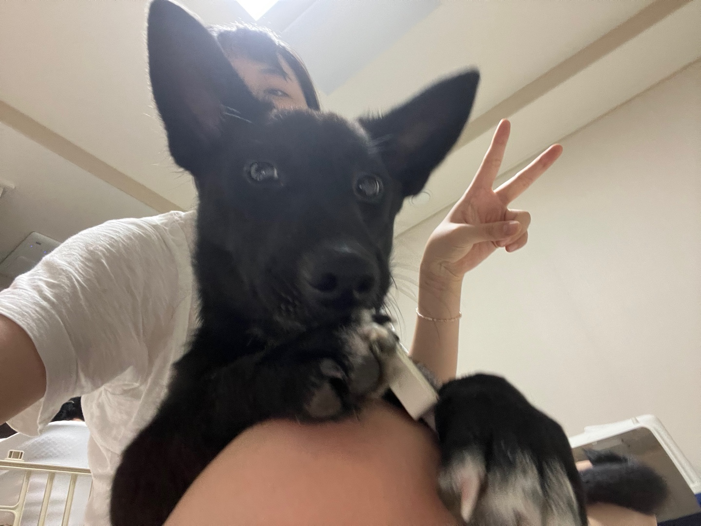 (레드)밤이 소식이에요!
