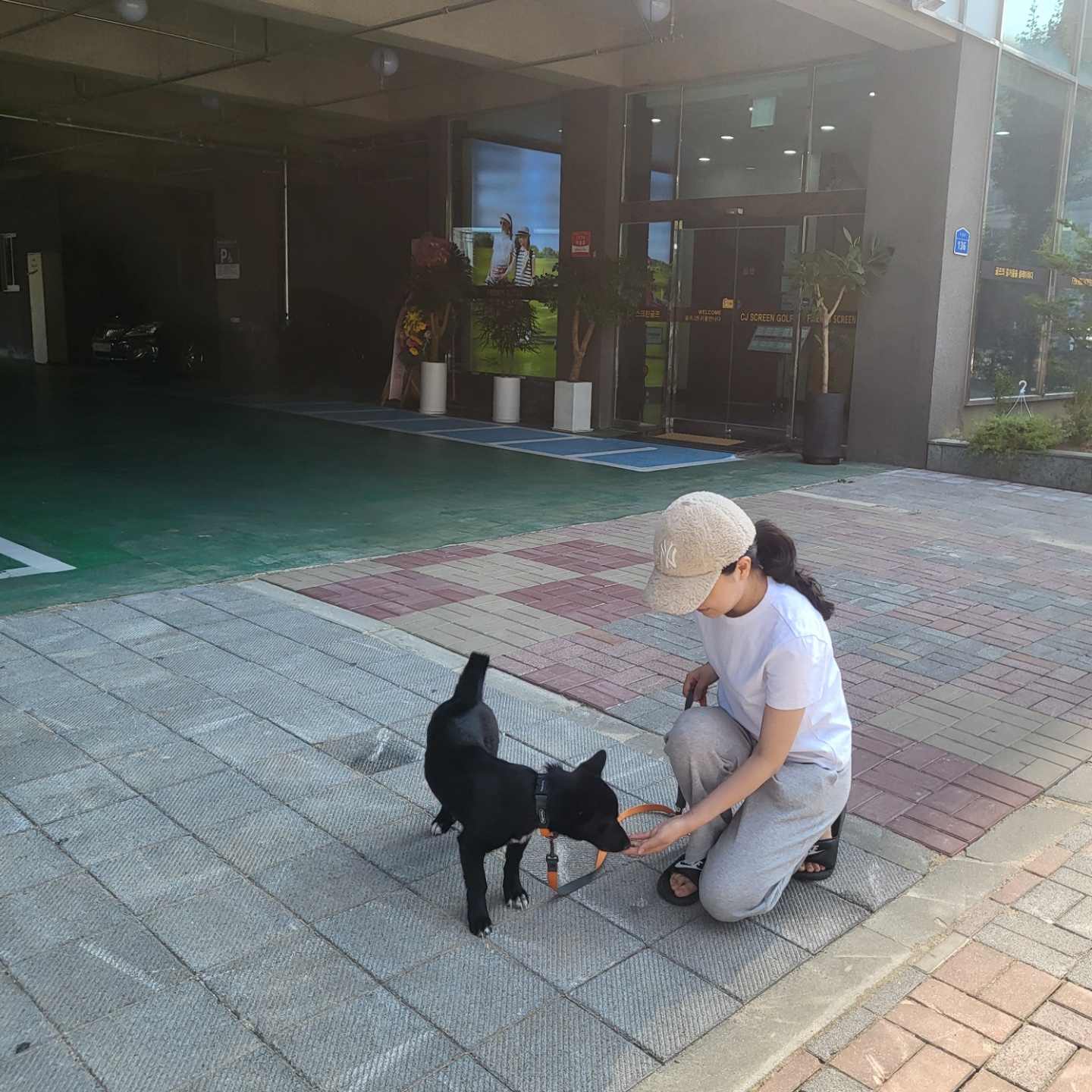 (레드)밤이 소식이에요!