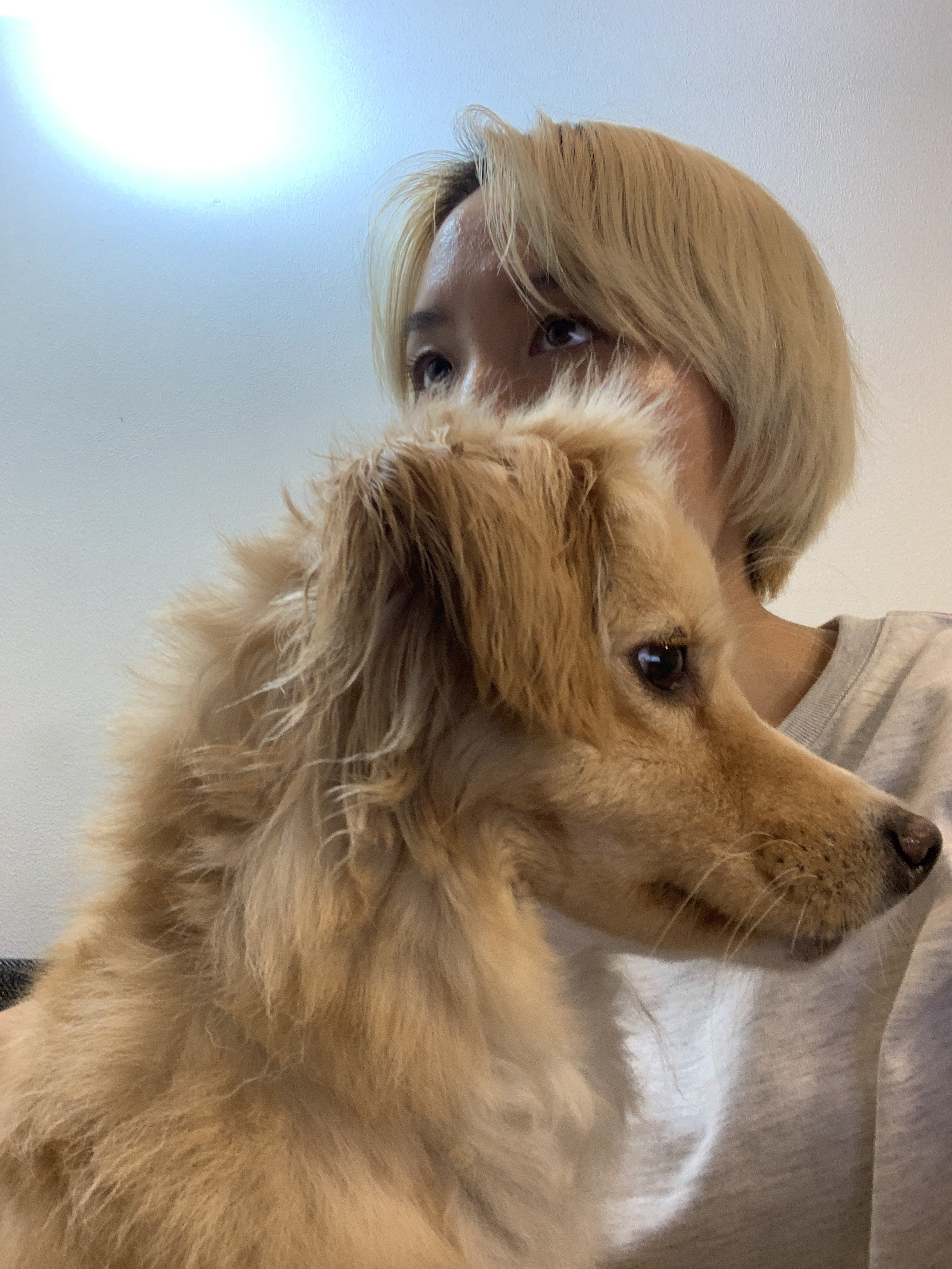 루시 (삼콩)이와의 이야기가 시작됩니다!