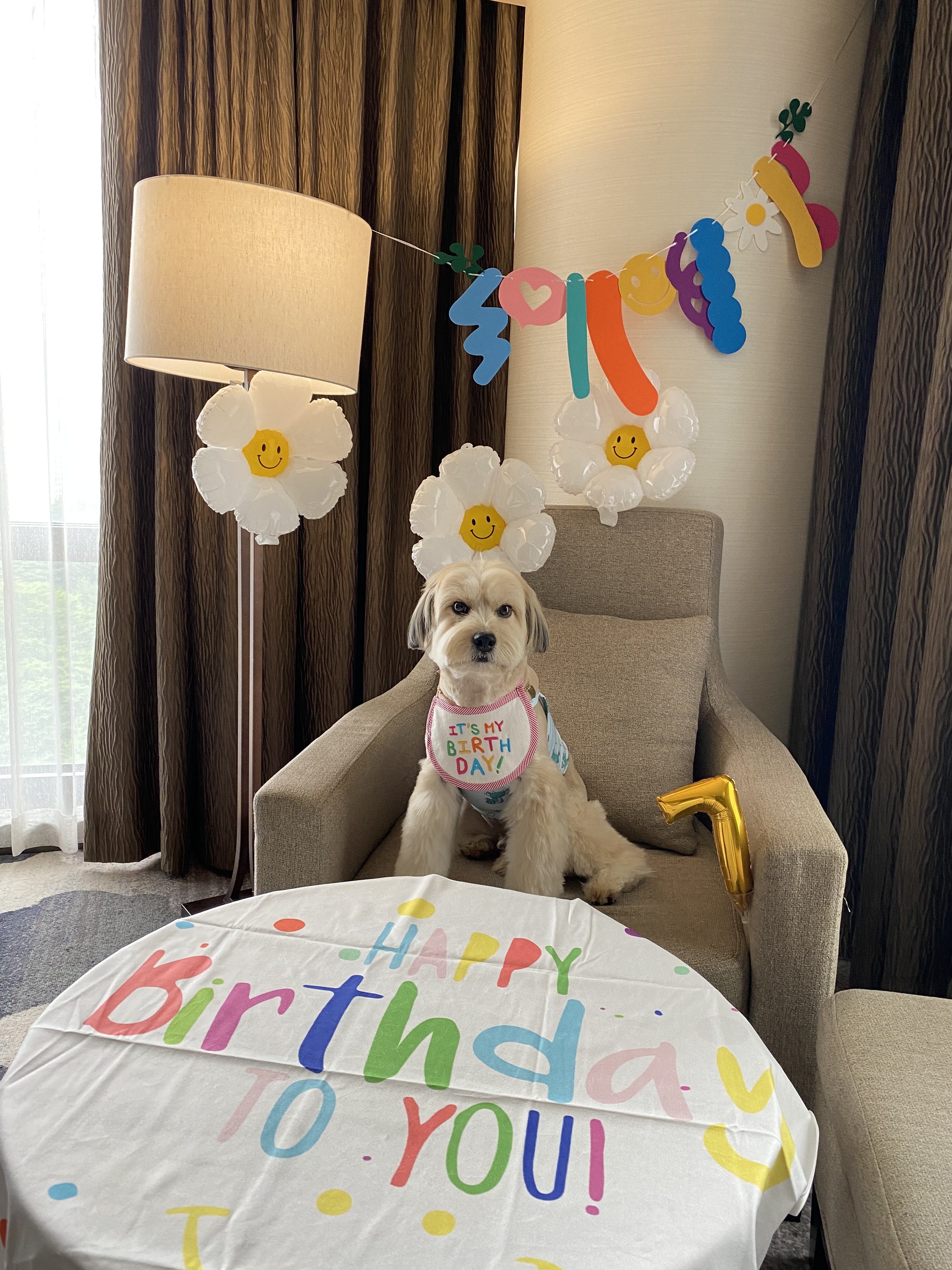 봉구 7살 생일파티 ^^ 