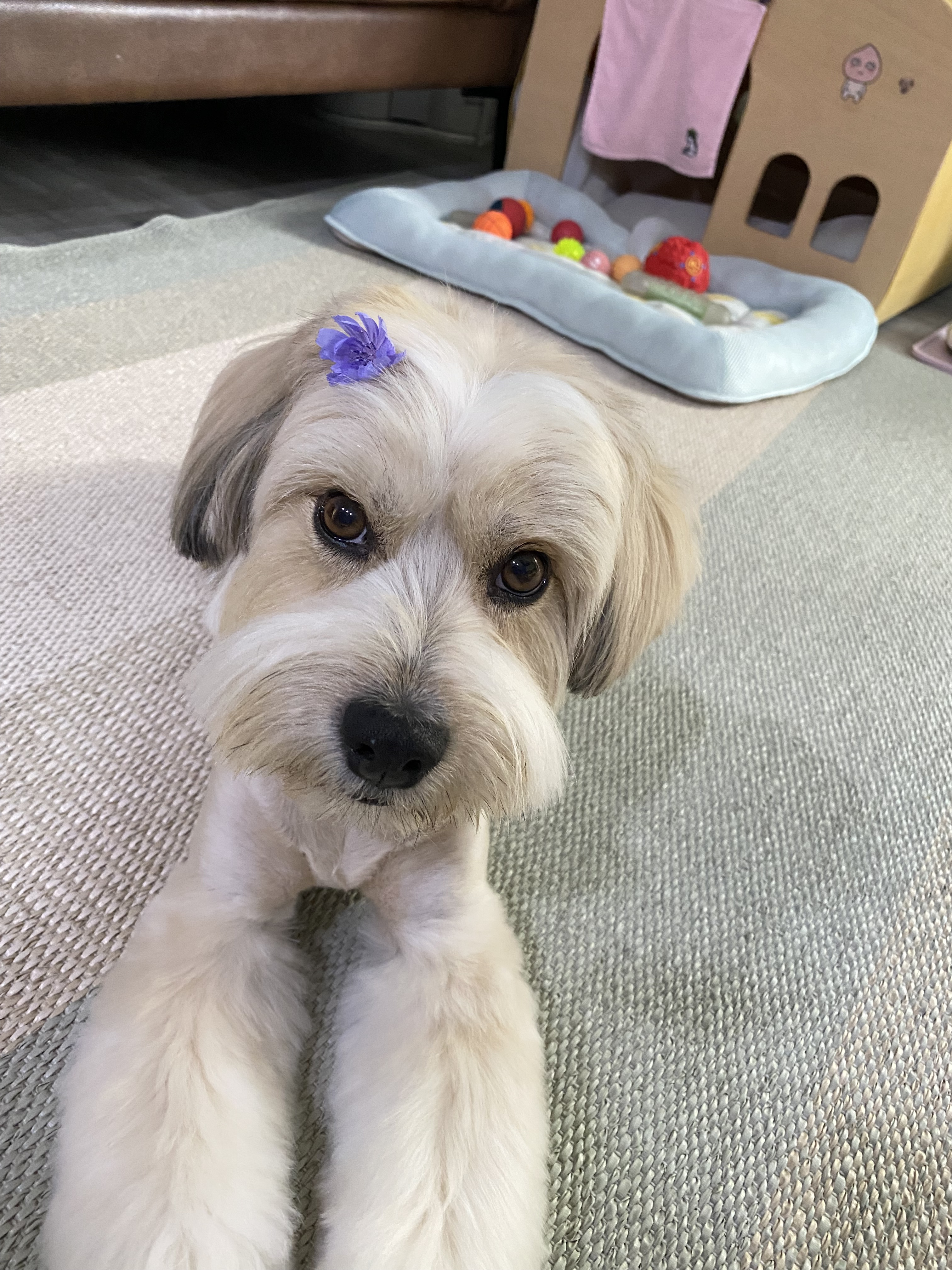 봉구 7살 생일파티 ^^ 