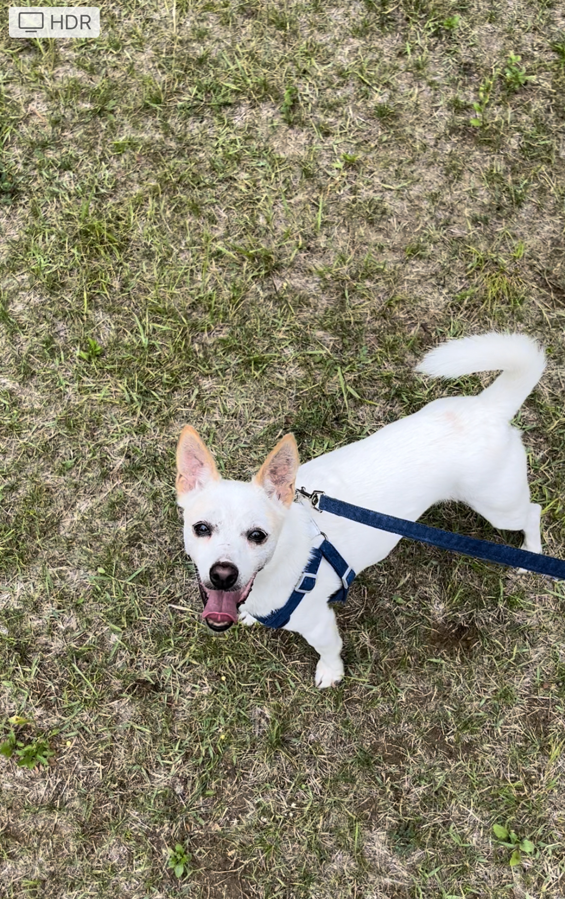 임보 2개월차 울동이 잘 있어요~ 