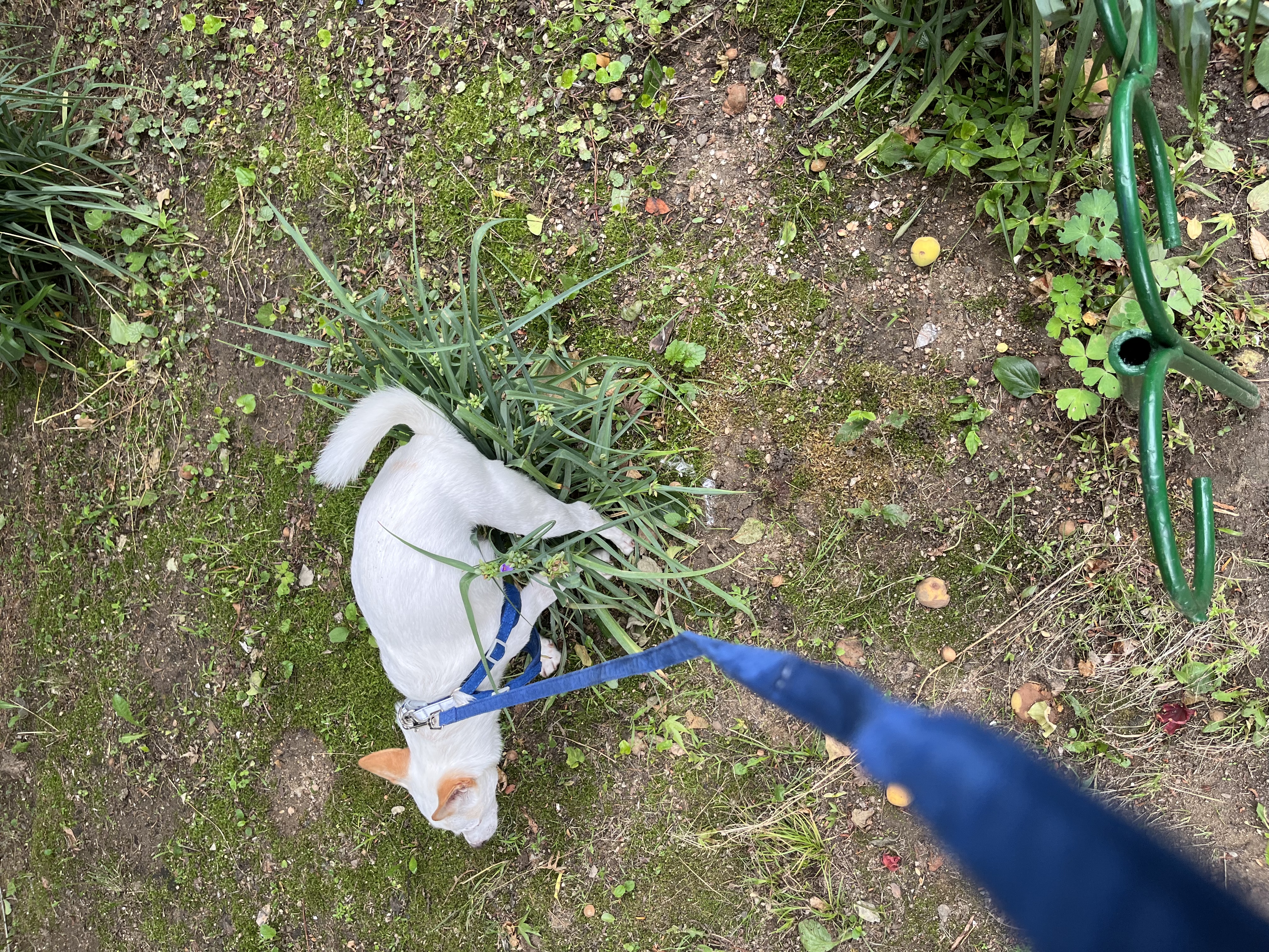 임보 2개월차 울동이 잘 있어요~ 