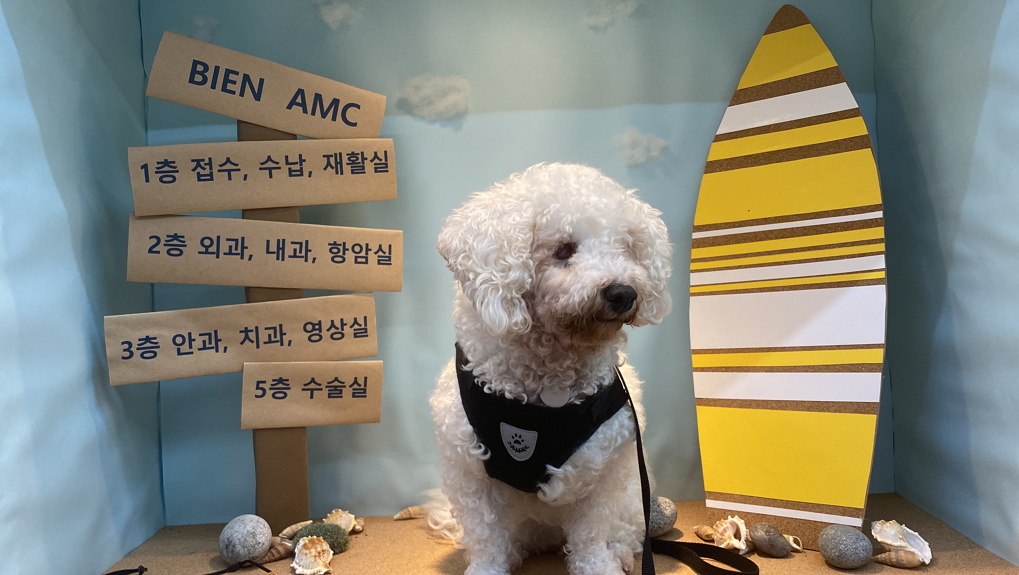 윤랑(곤지암_쟈스민)이의 입양 1주년