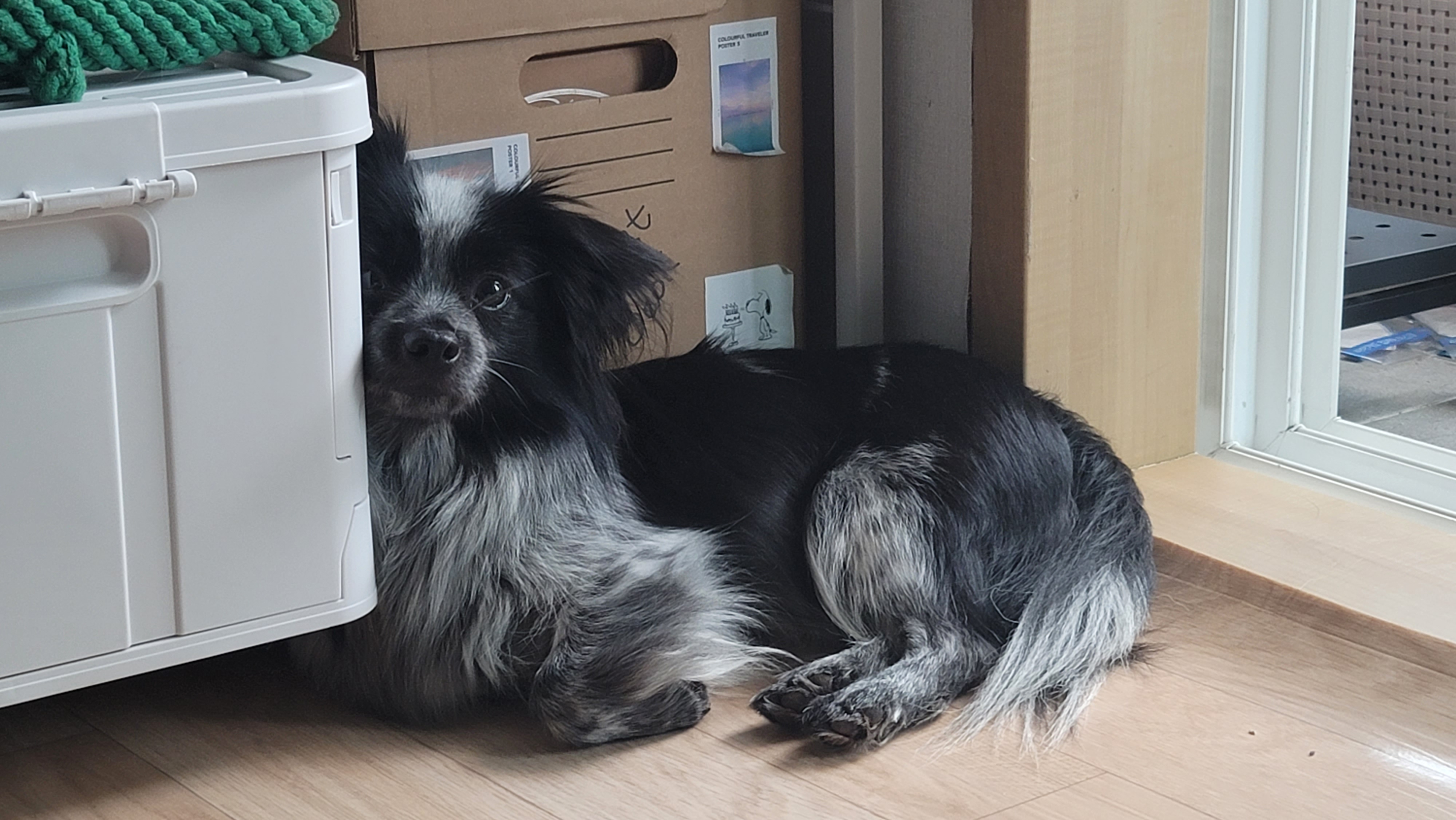 크루와 벌써 한달!