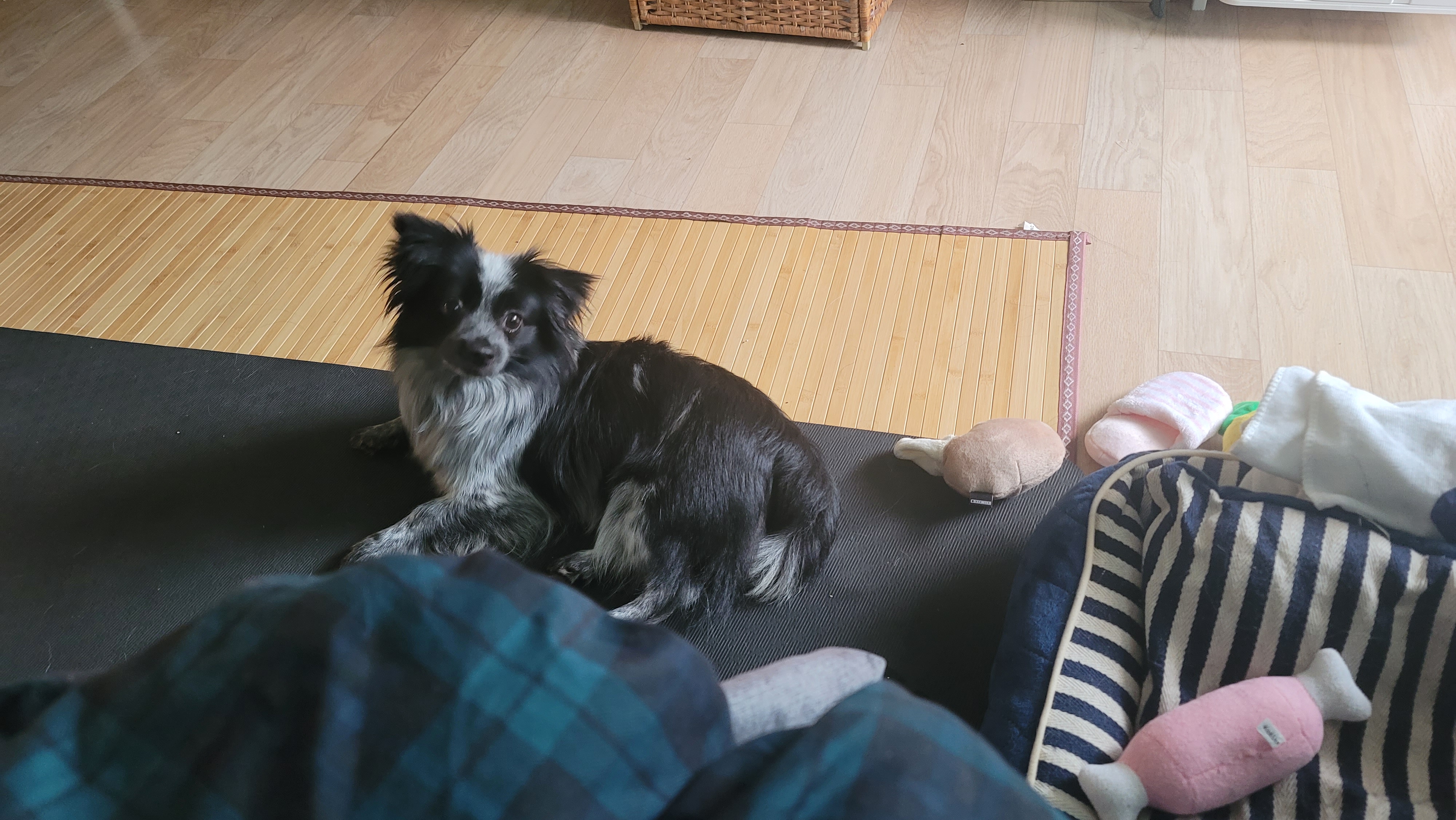 크루와 벌써 한달!