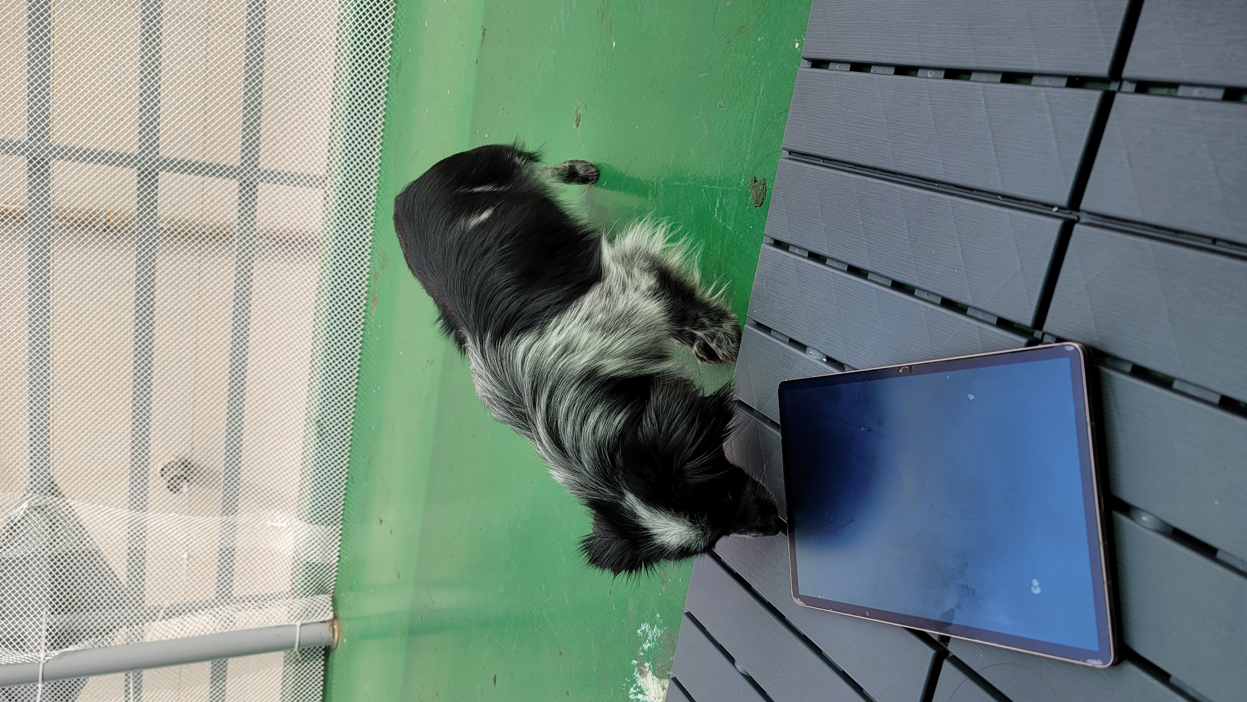 크루와 벌써 한달!