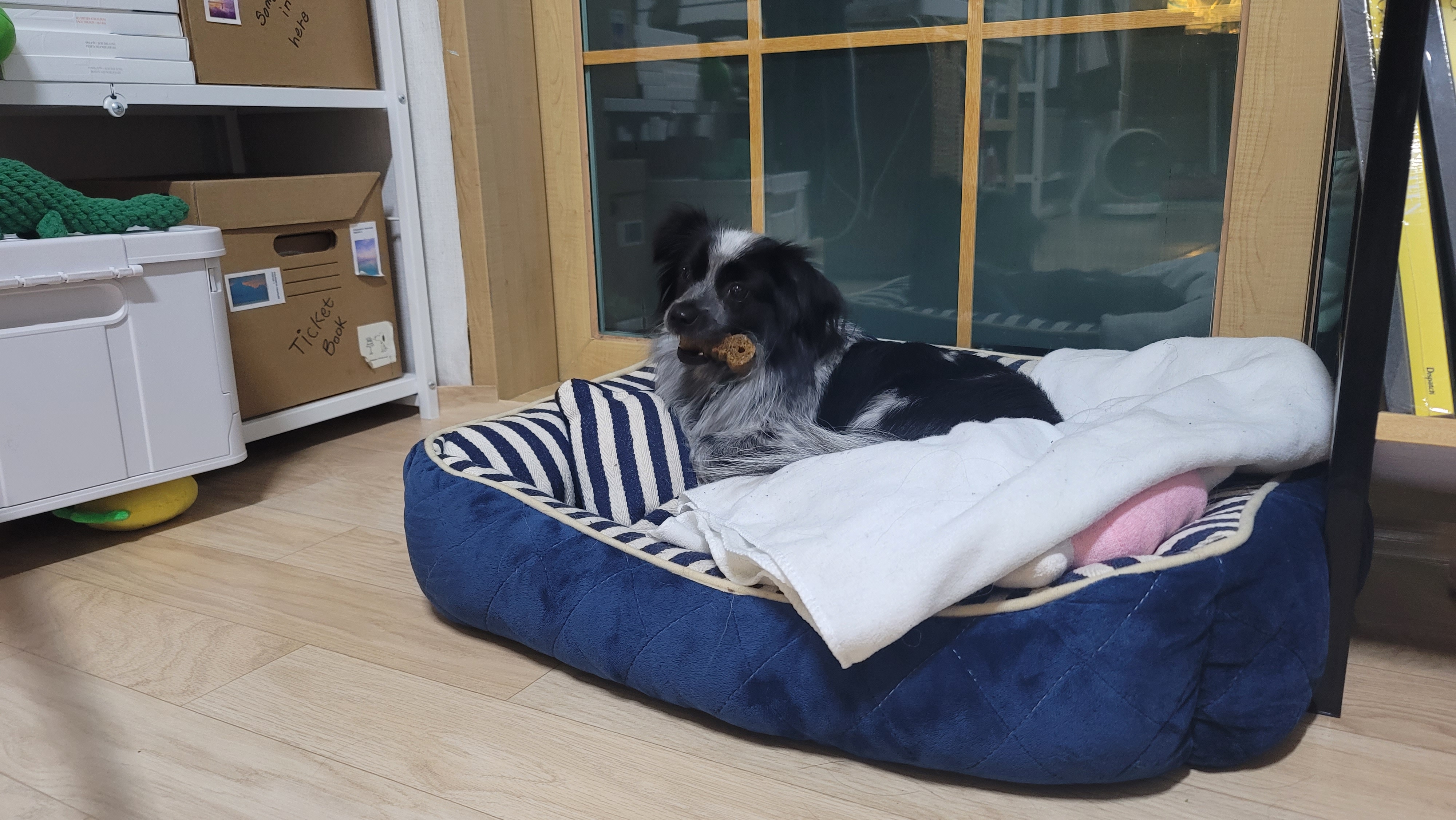 크루와 벌써 한달!