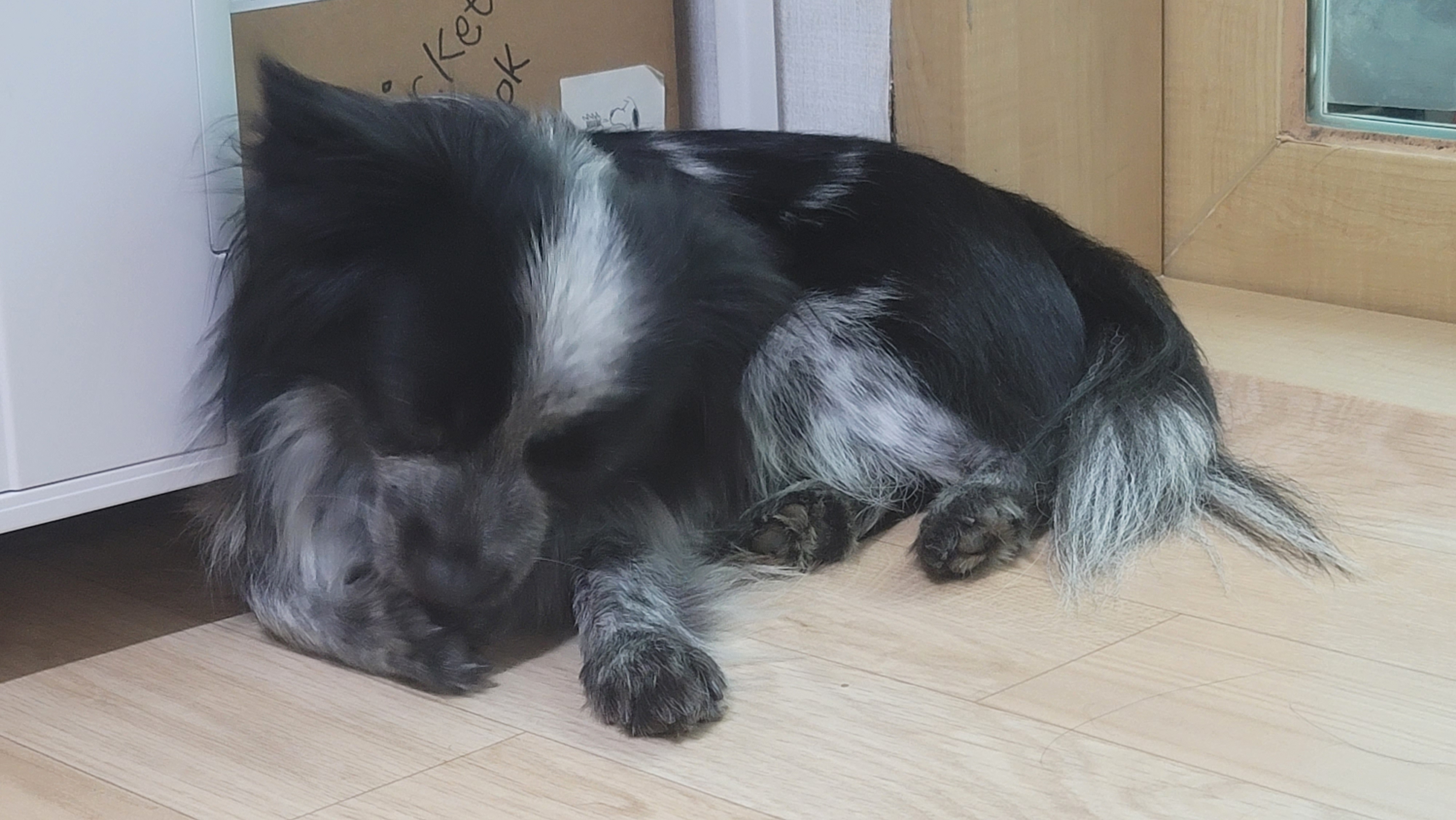 크루와 벌써 한달!