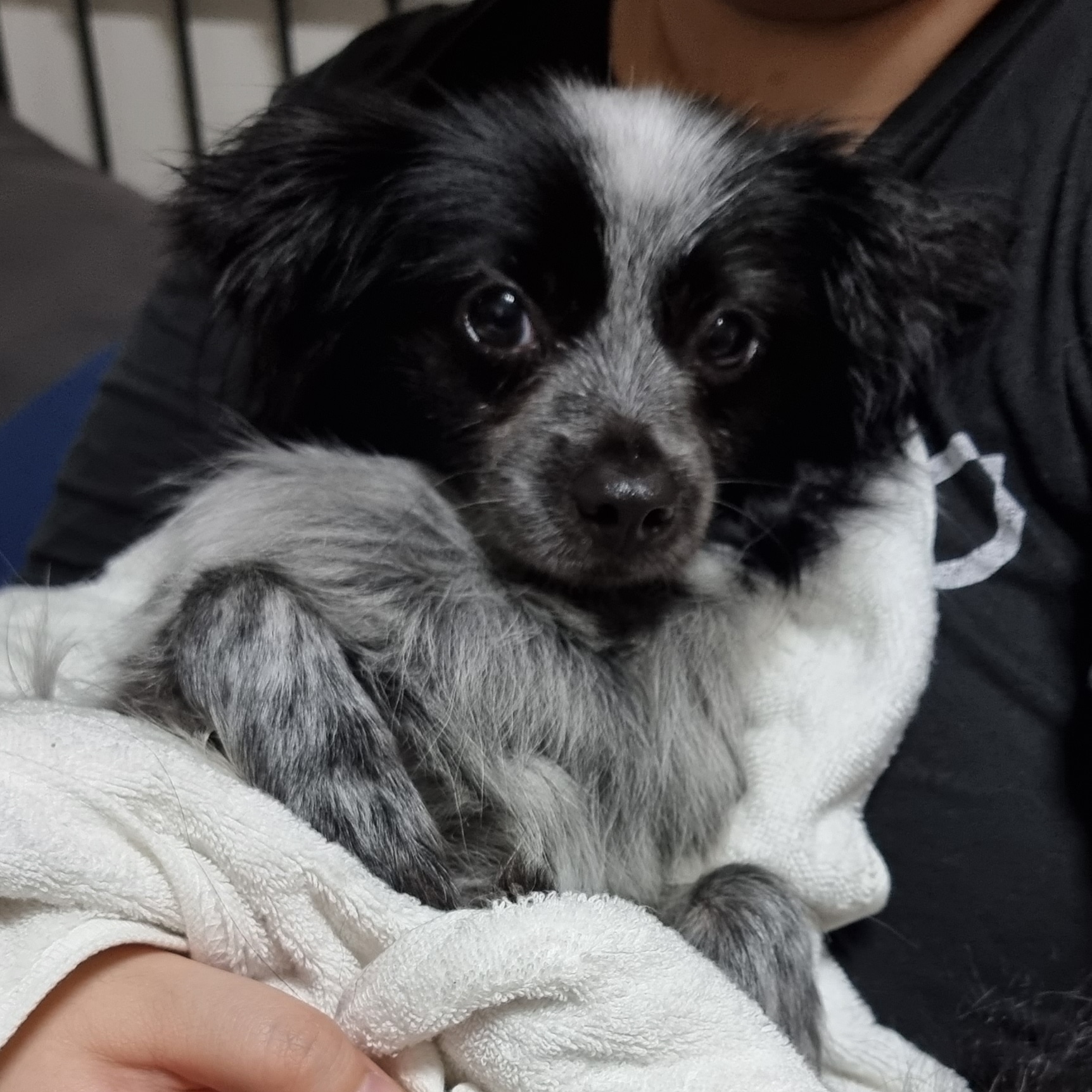 크루와 벌써 한달!