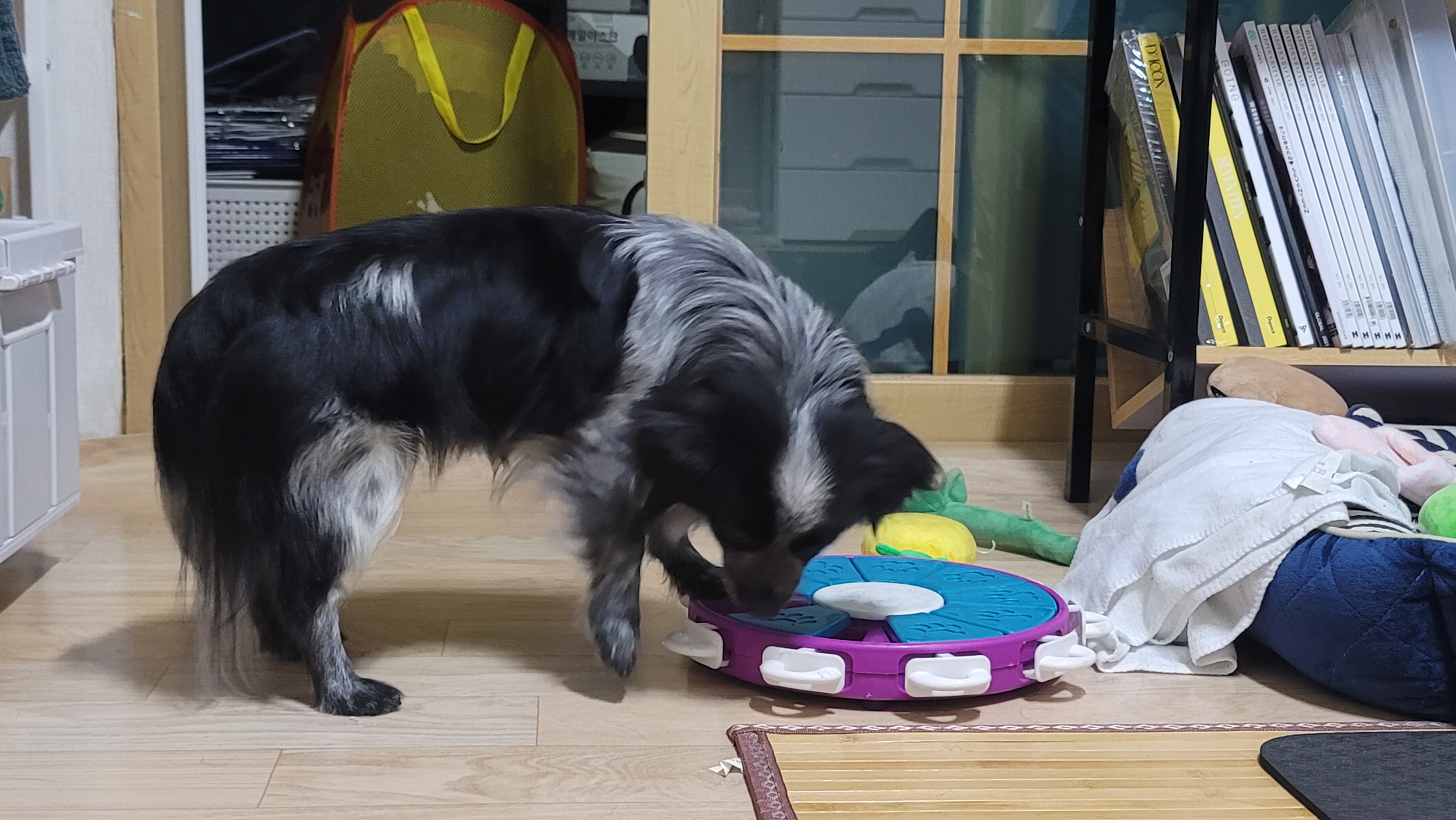 크루와 벌써 한달!