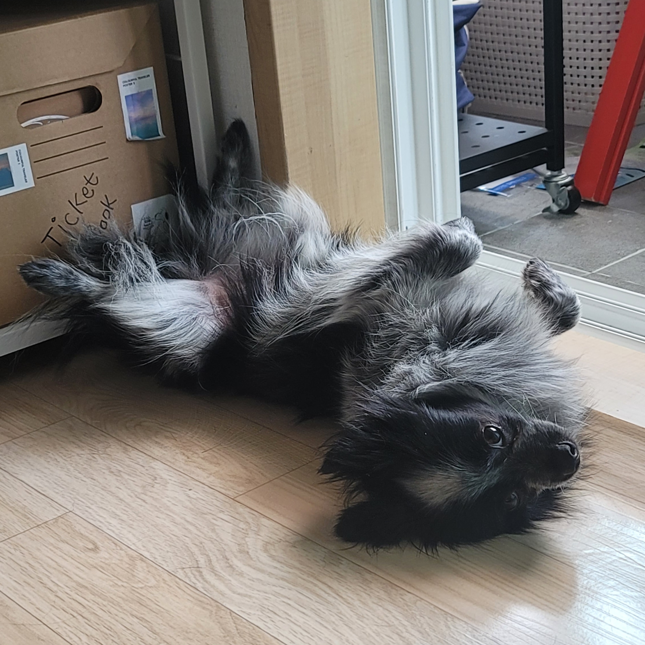 크루와 벌써 한달!