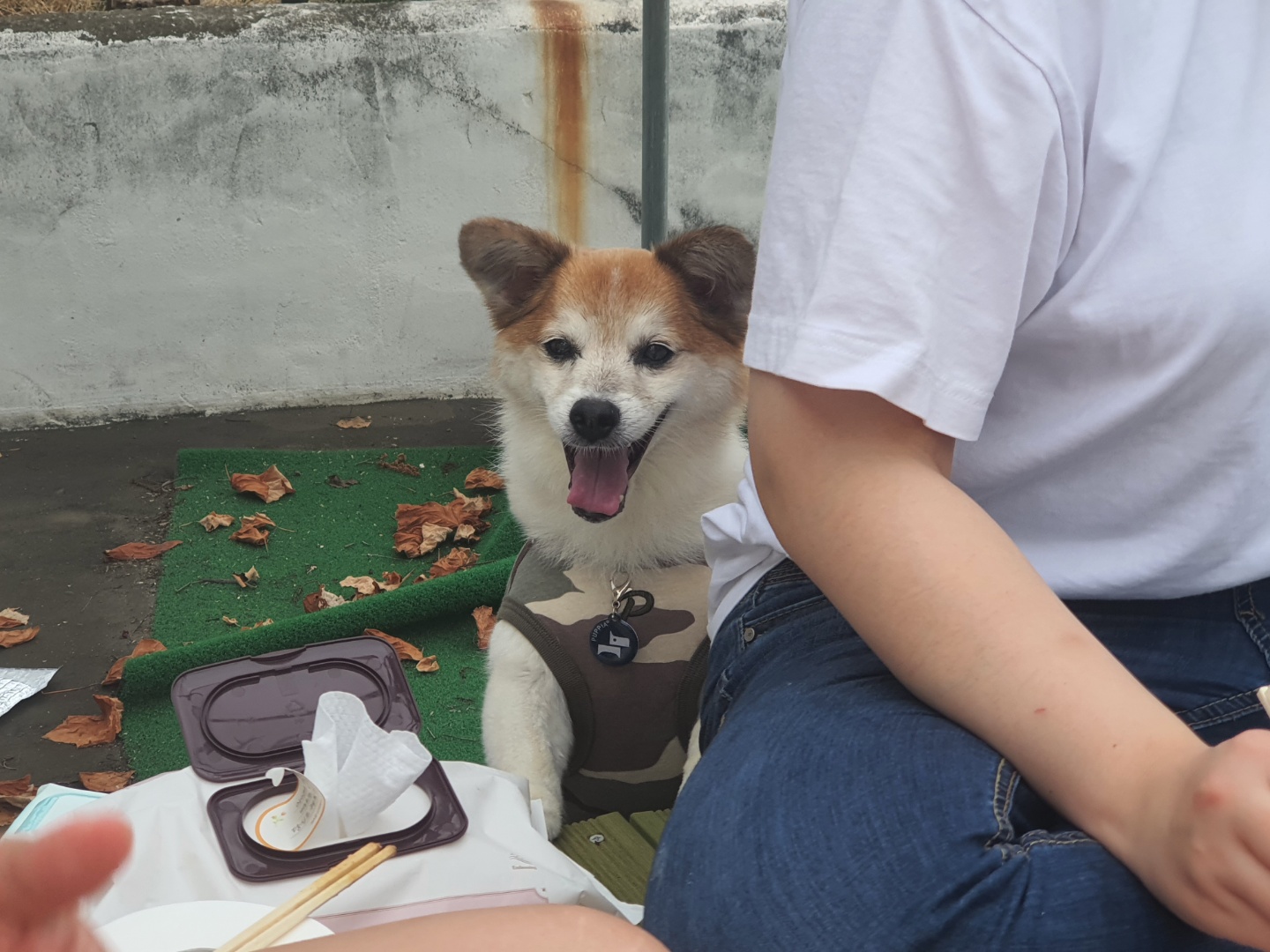 꼬마와 1년이 됐어요!!