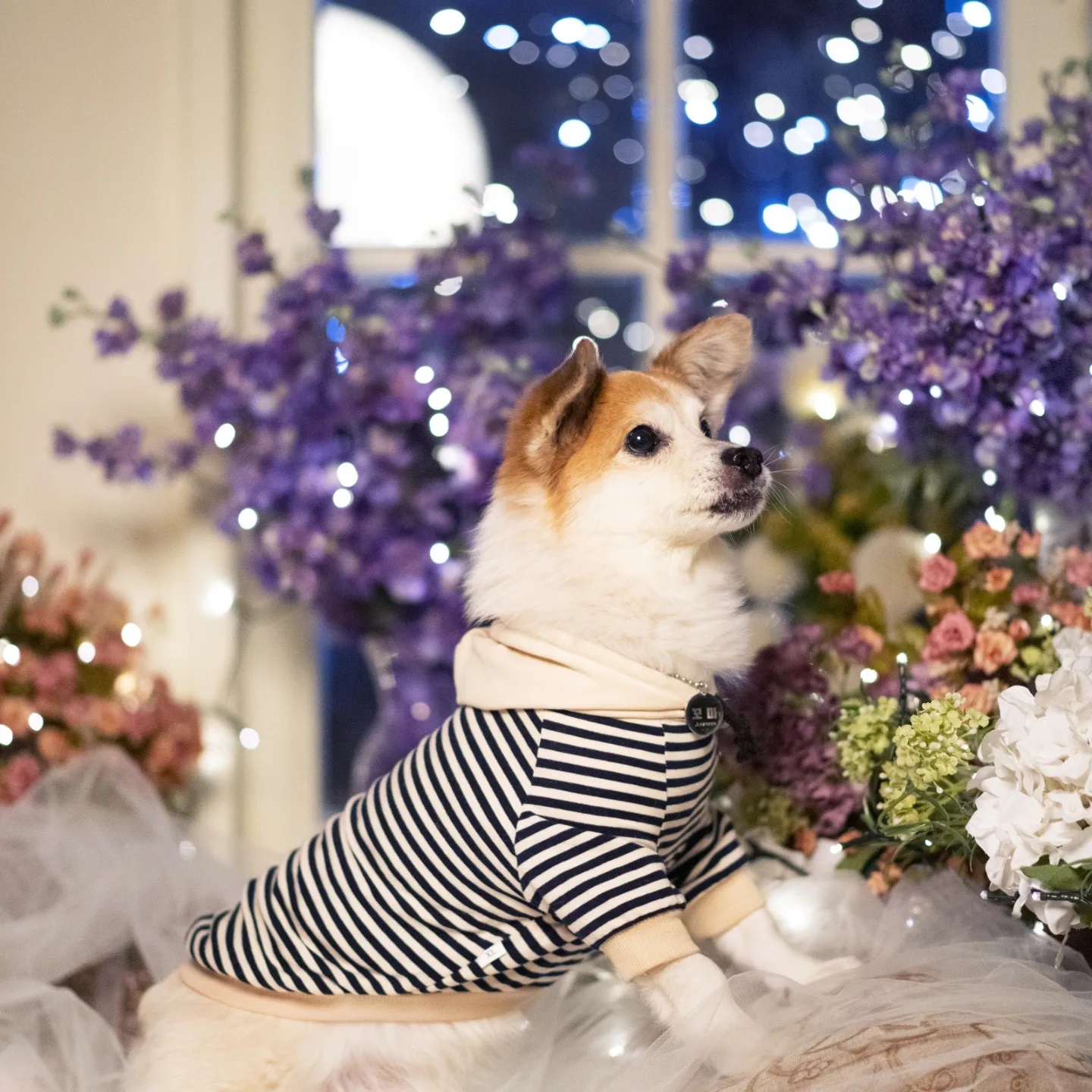 꼬마와 1년이 됐어요!!