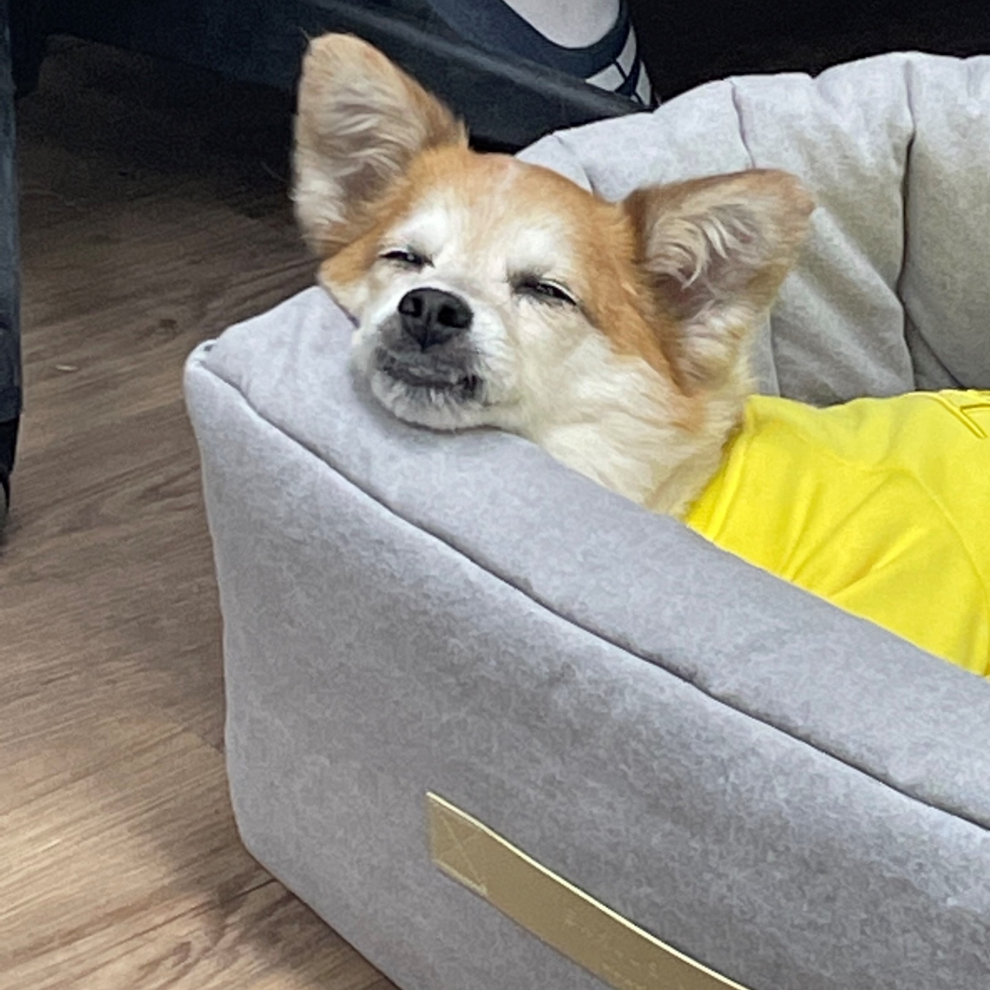 꼬마와 1년이 됐어요!!