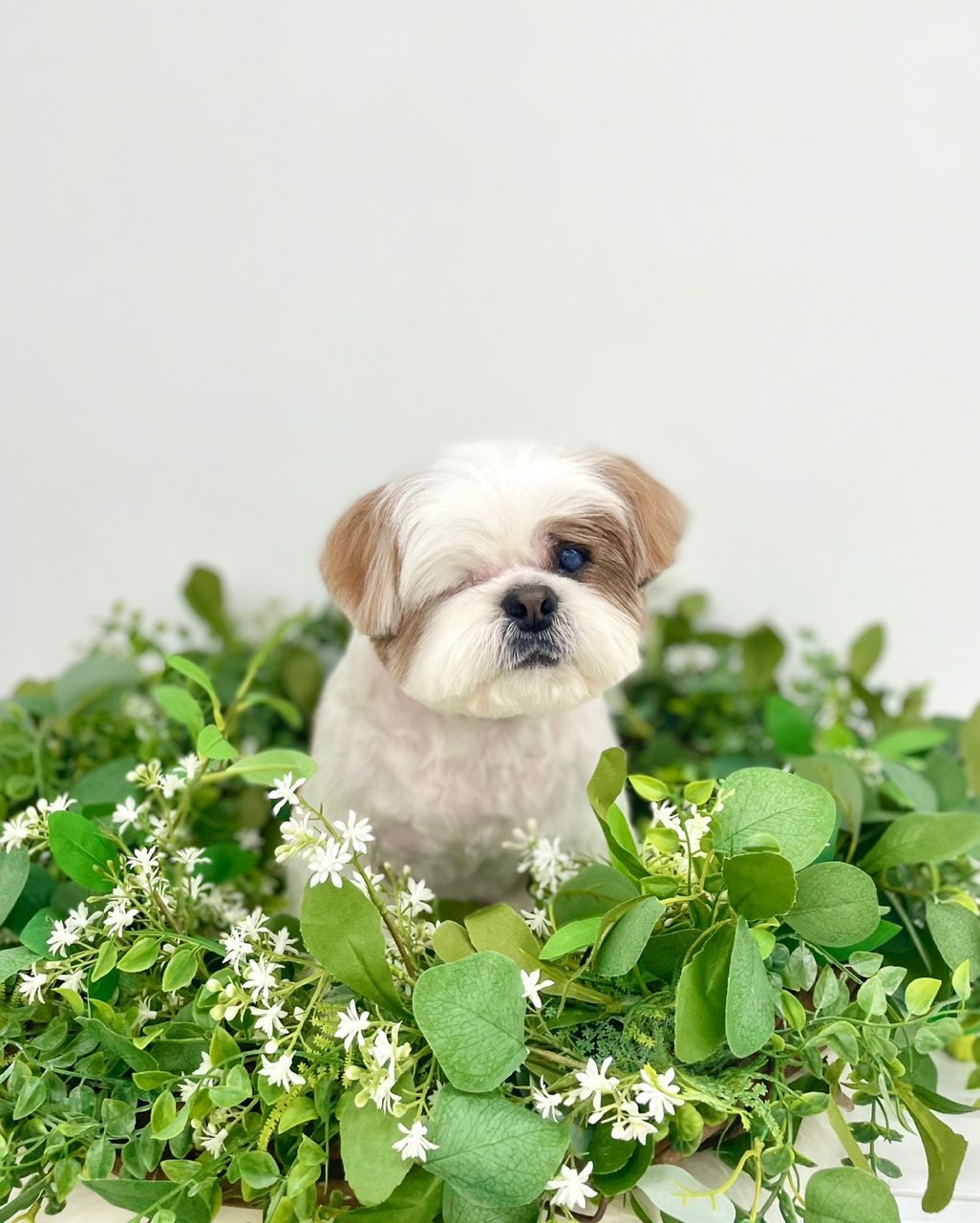 샘(찌개군)복민(김치군)살짝쿵!~얼굴비추러왔어요^~^