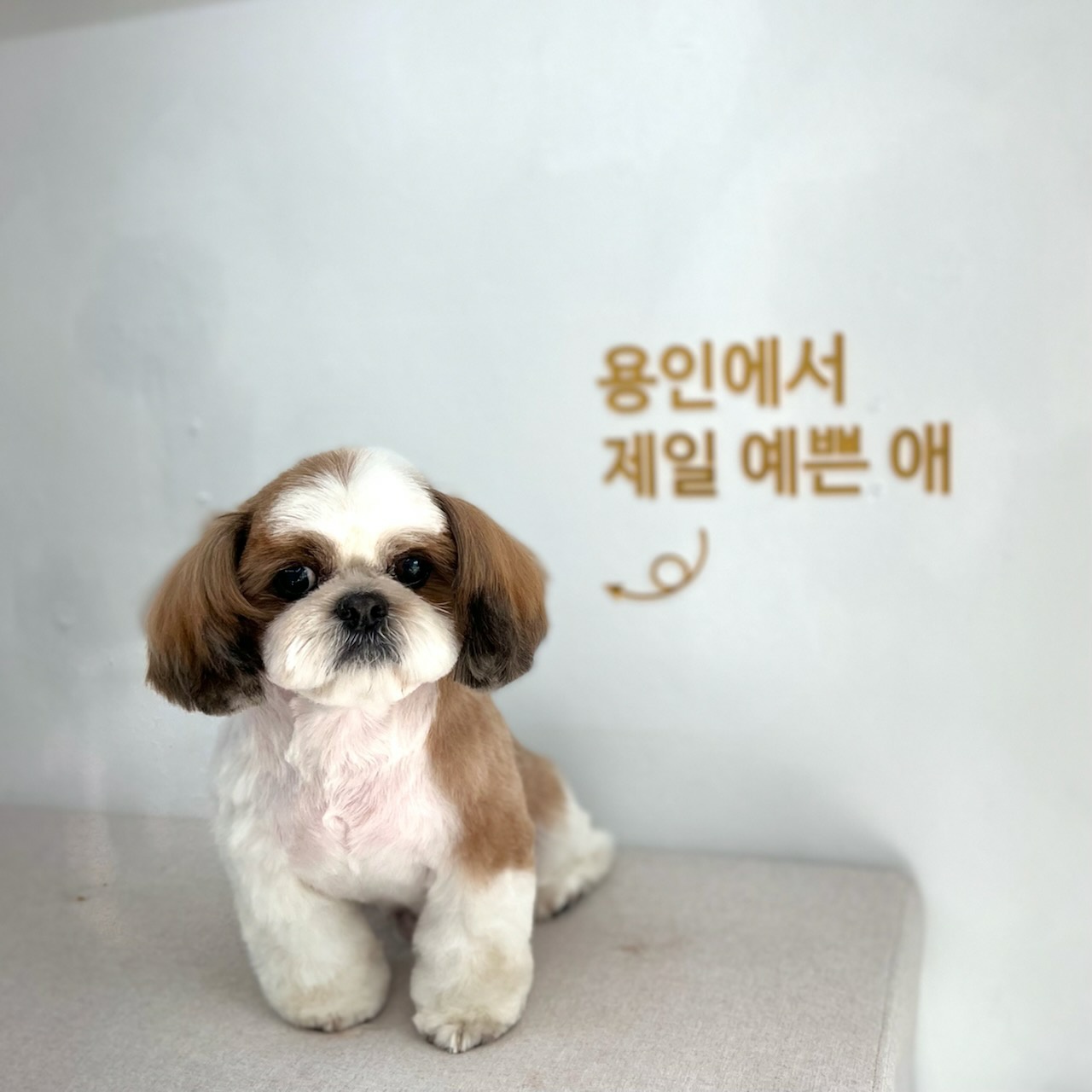 샘(찌개군)복민(김치군)살짝쿵!~얼굴비추러왔어요^~^