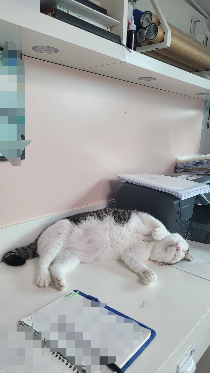 서창이의 적응일지 2