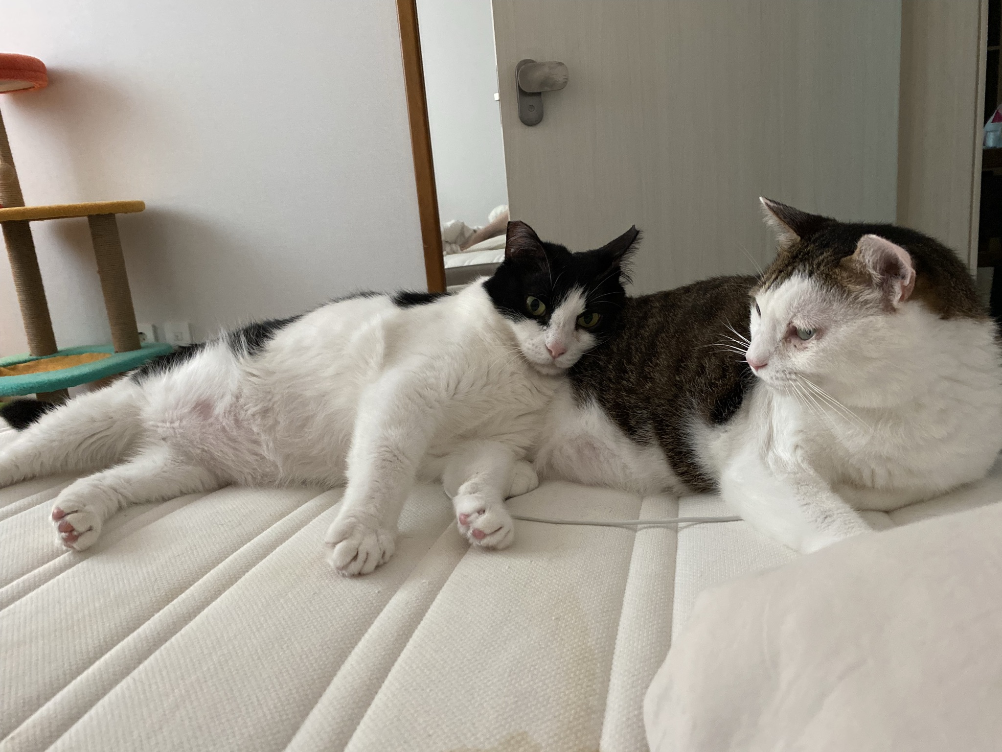 서창이의 적응일지 2