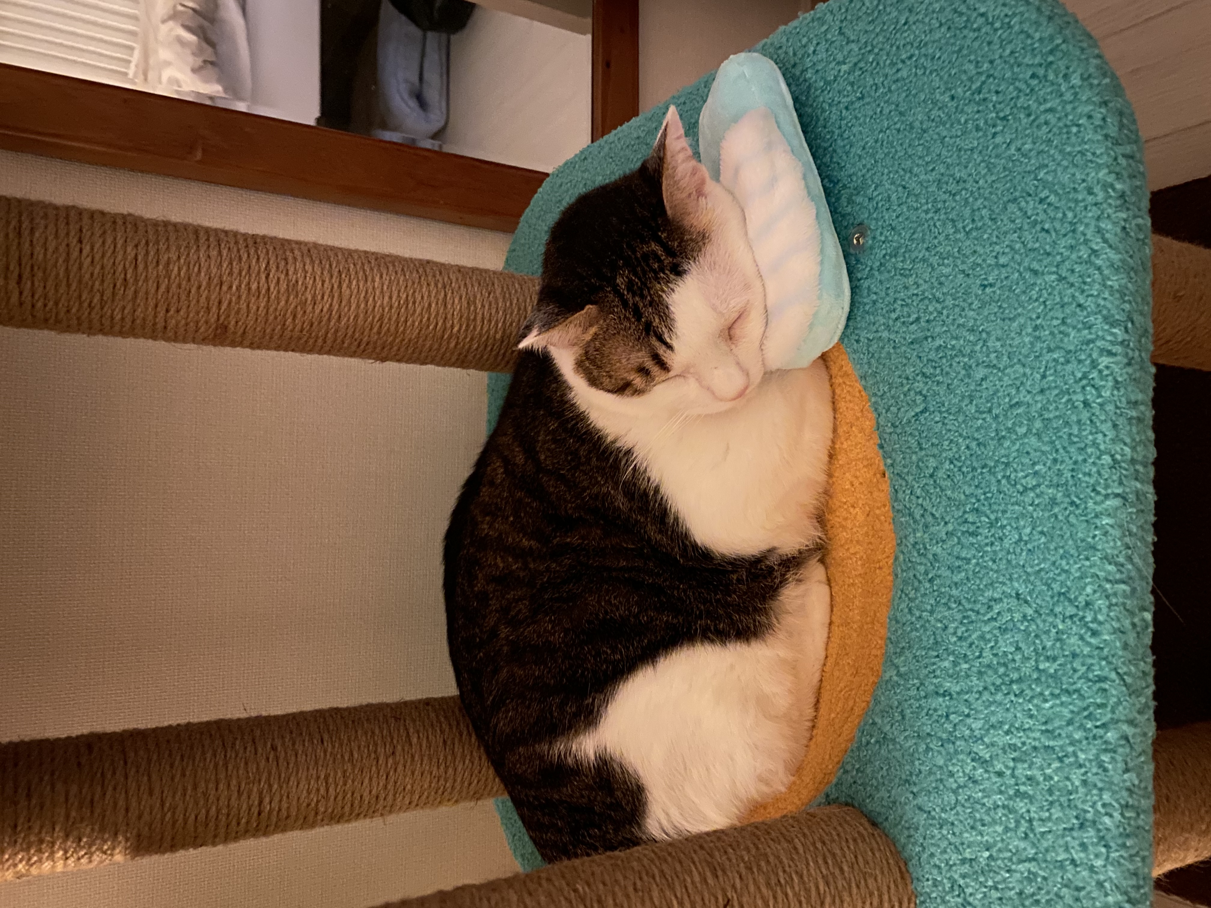 서창이의 적응일지 2