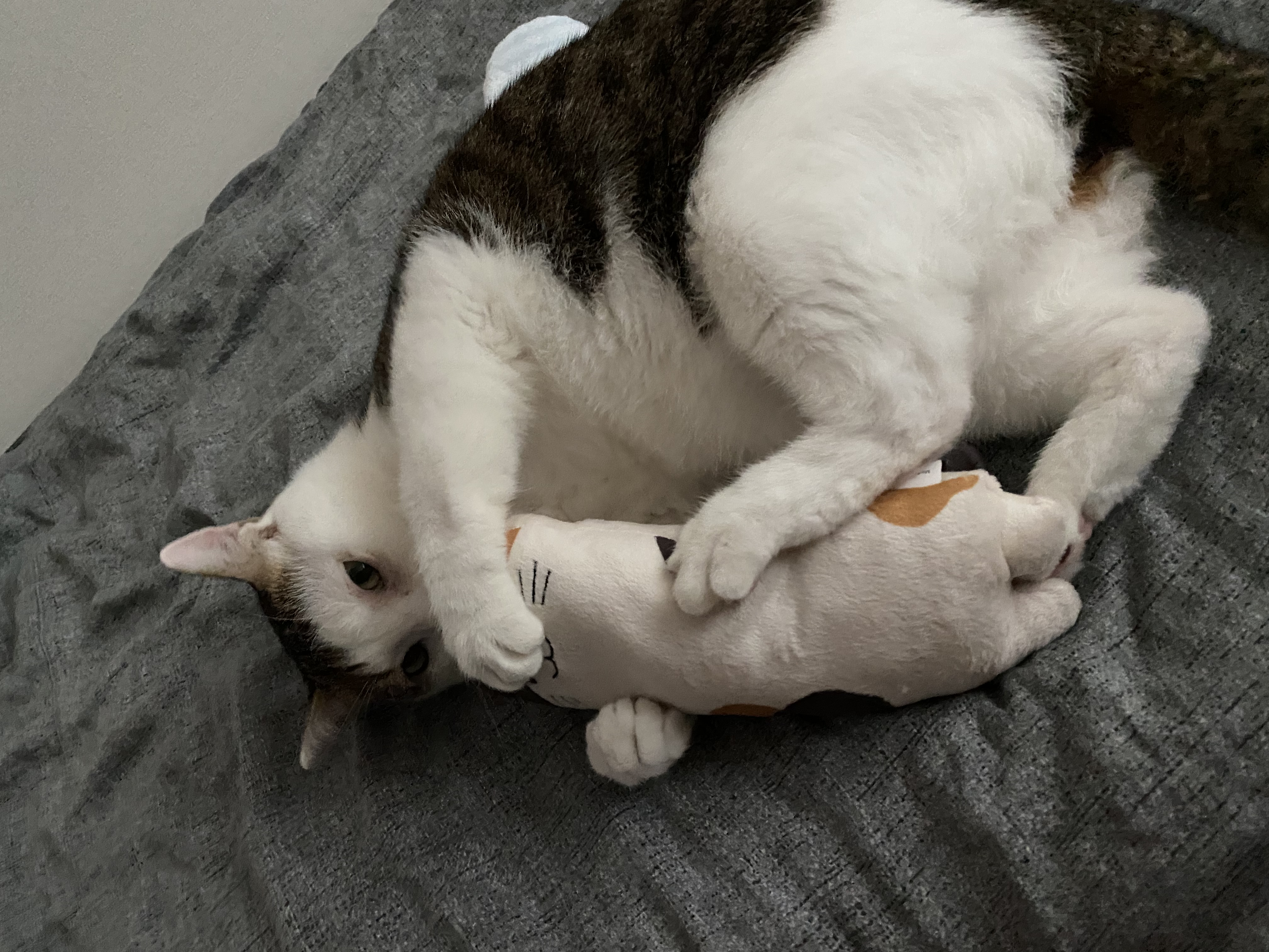 서창이의 적응일지 2