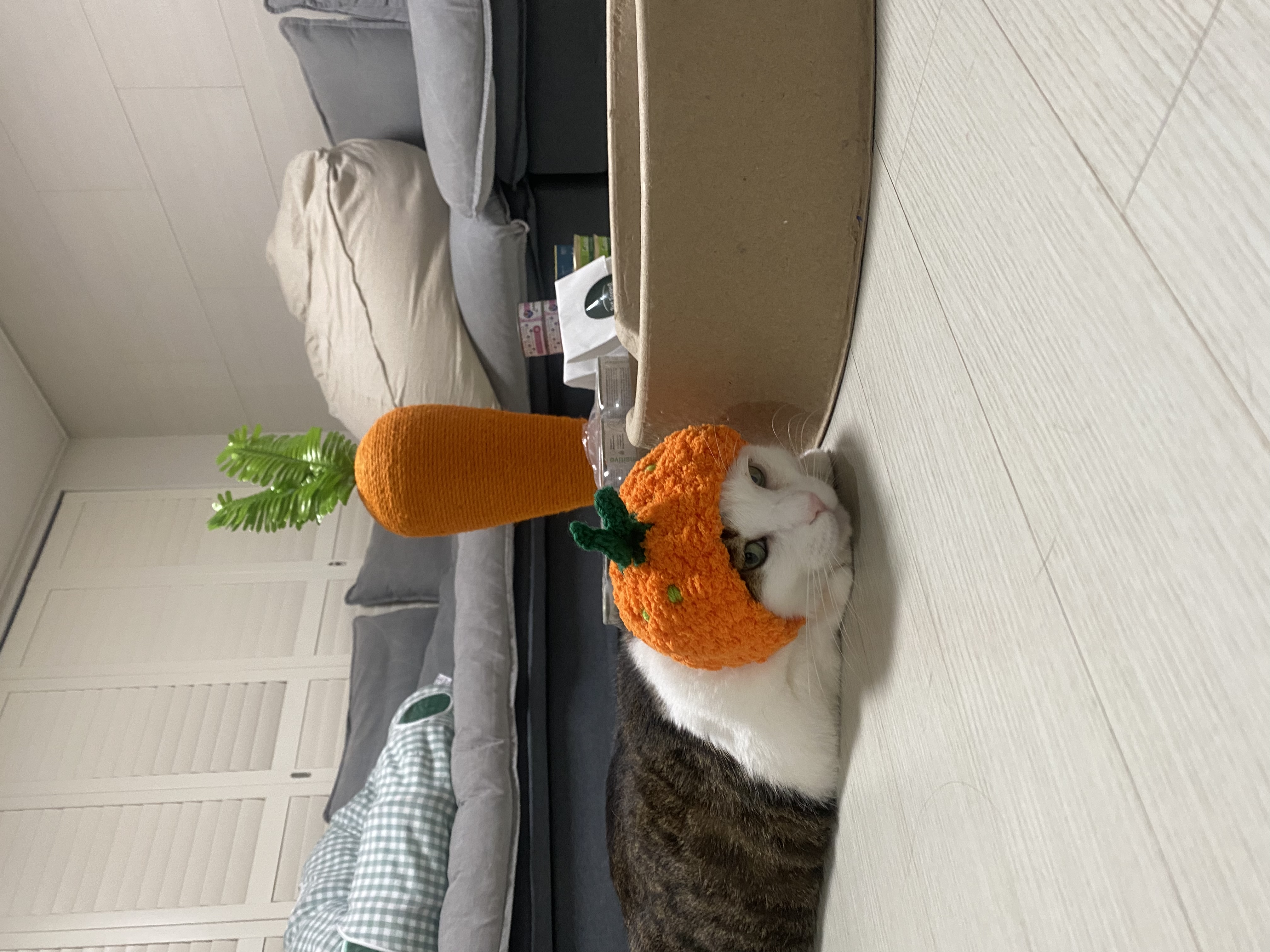 서창이의 적응일지 2