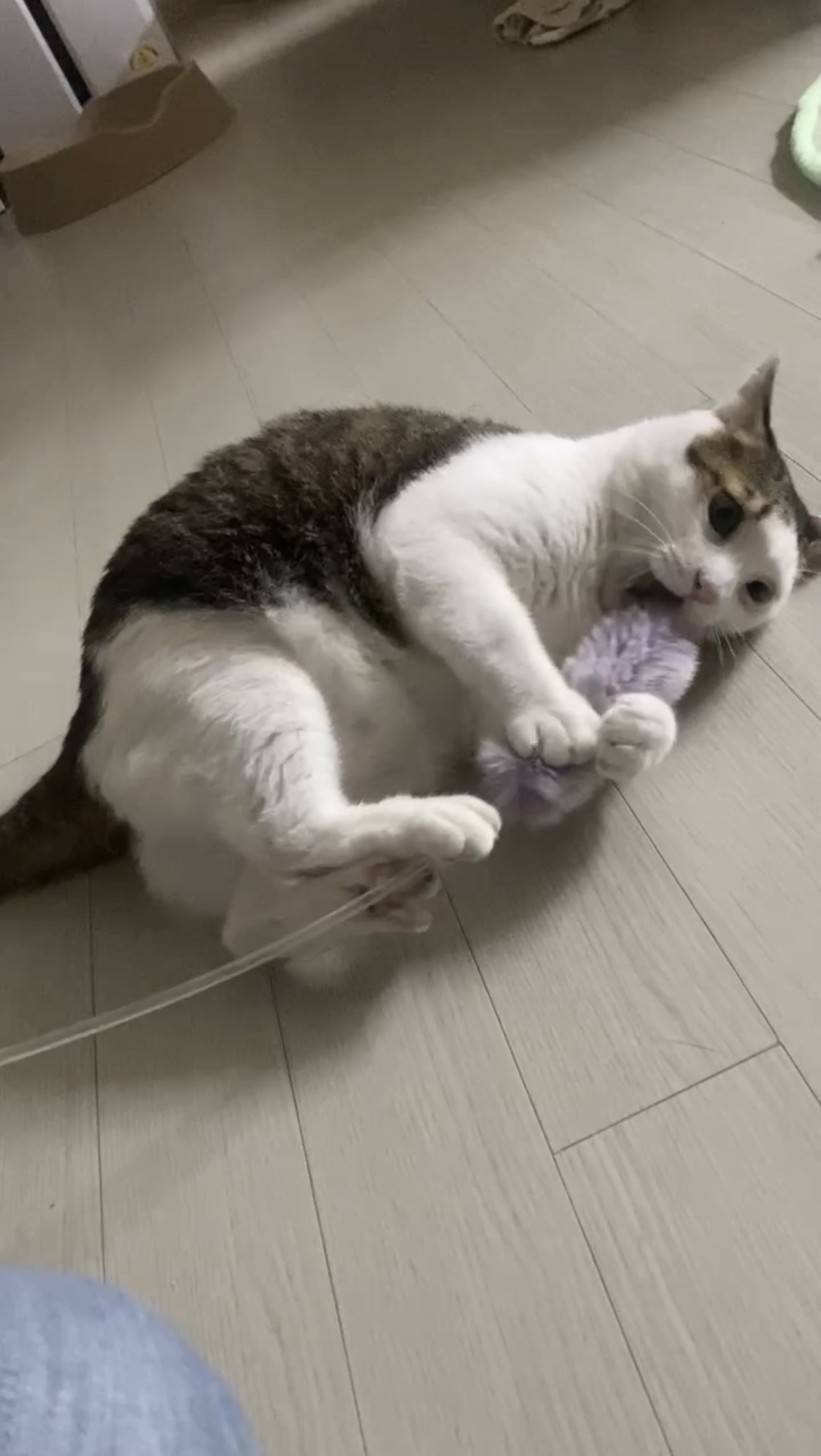 서창이의 적응일지 2