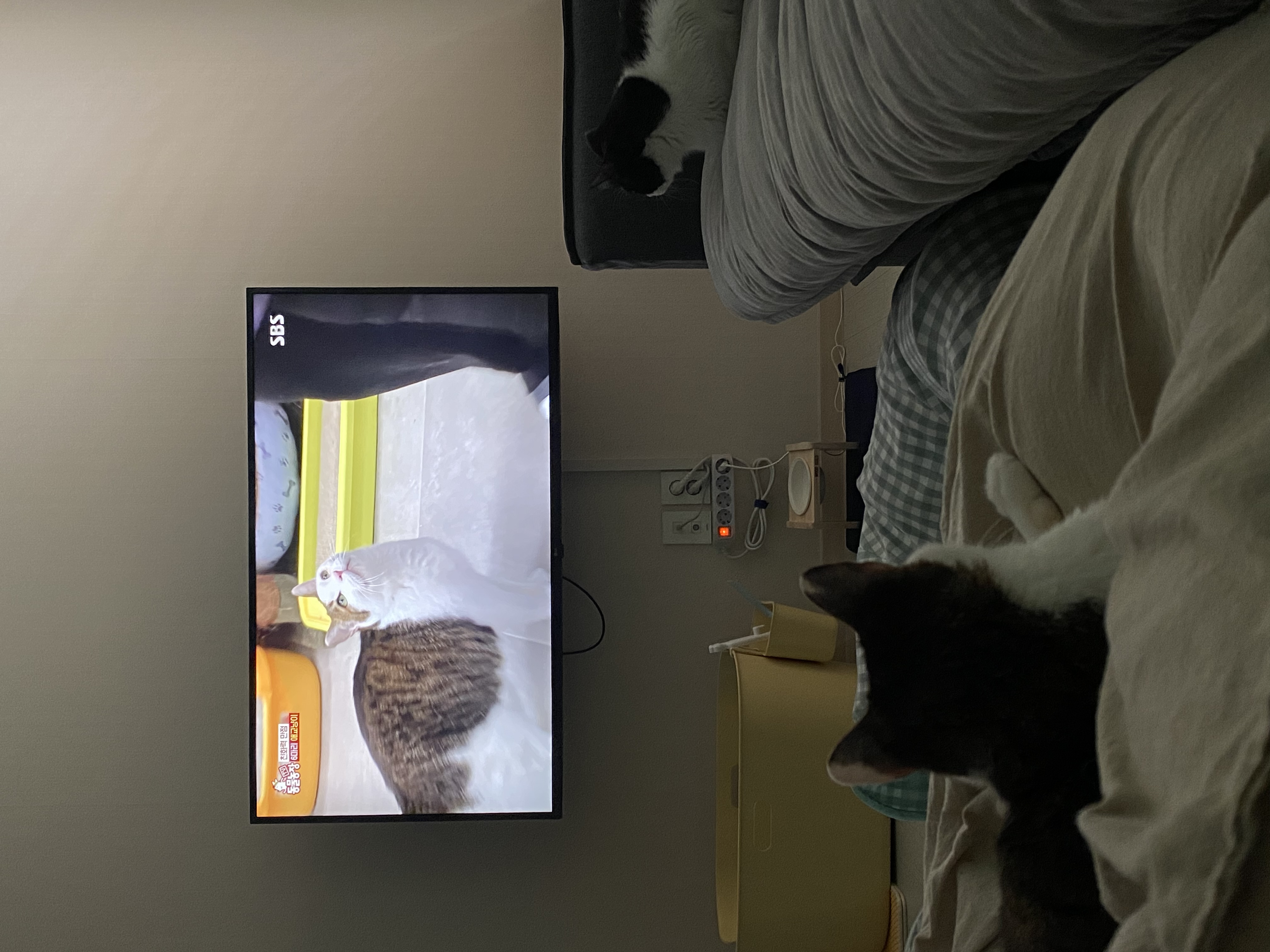 서창이의 적응일지 2