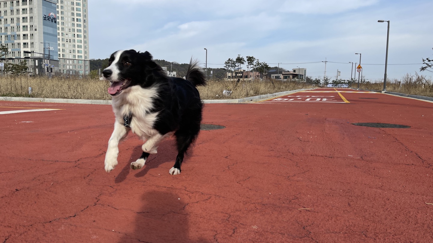 [바다] 이야기 2년째 - 글이 자꾸 사라져요