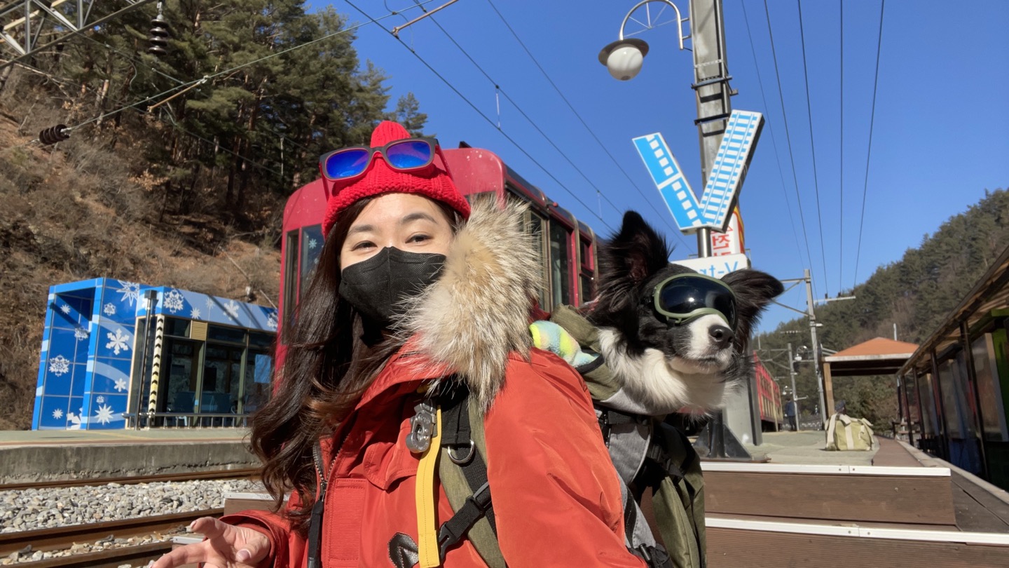 [바다] 이야기 2년째 - 글이 자꾸 사라져요