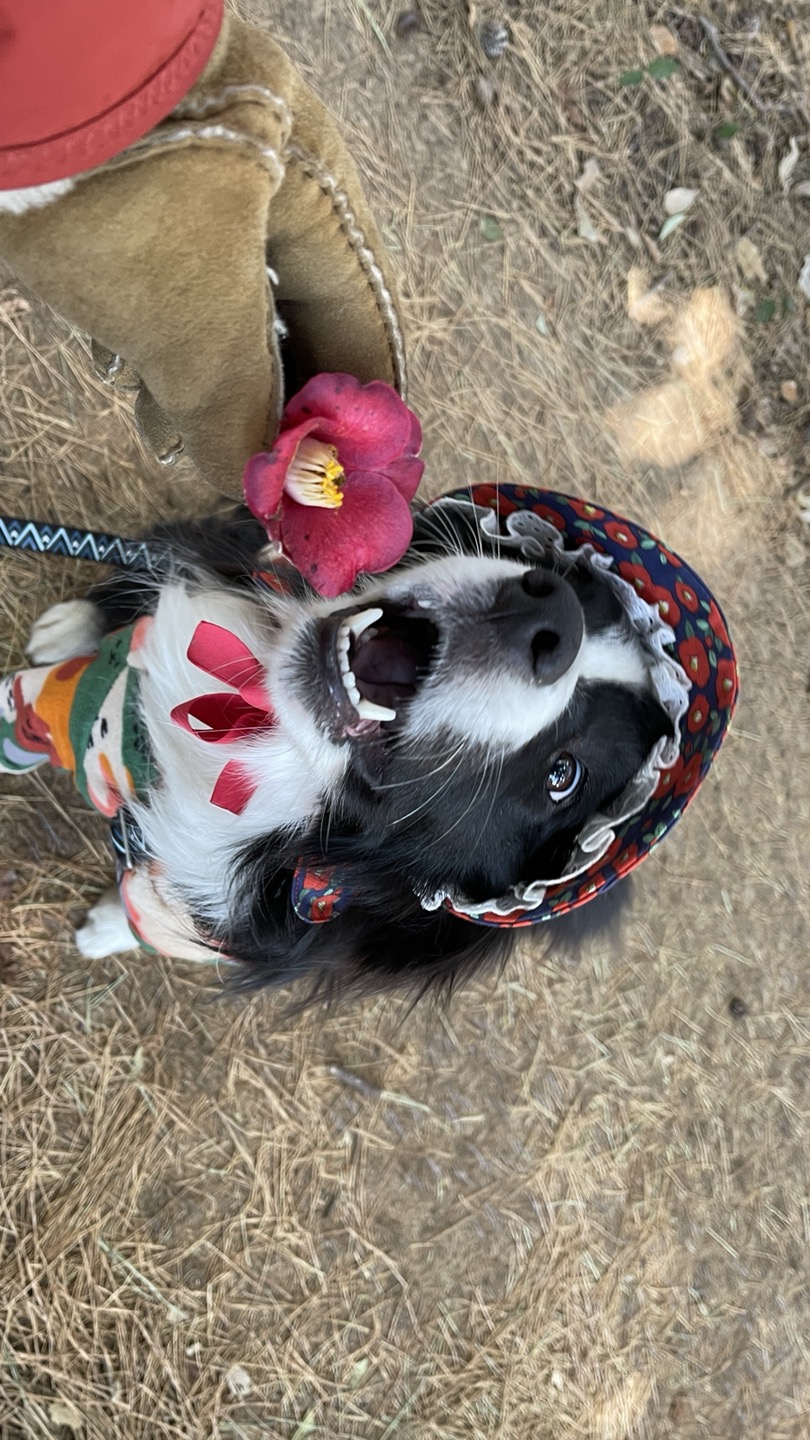 [바다] 이야기 2년째 - 글이 자꾸 사라져요
