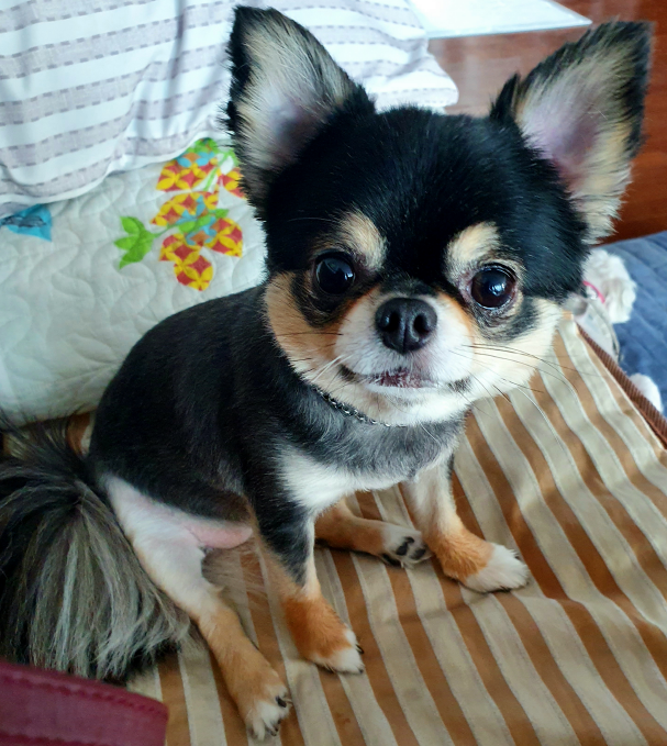 젤리에 대해 질문이 있어요~