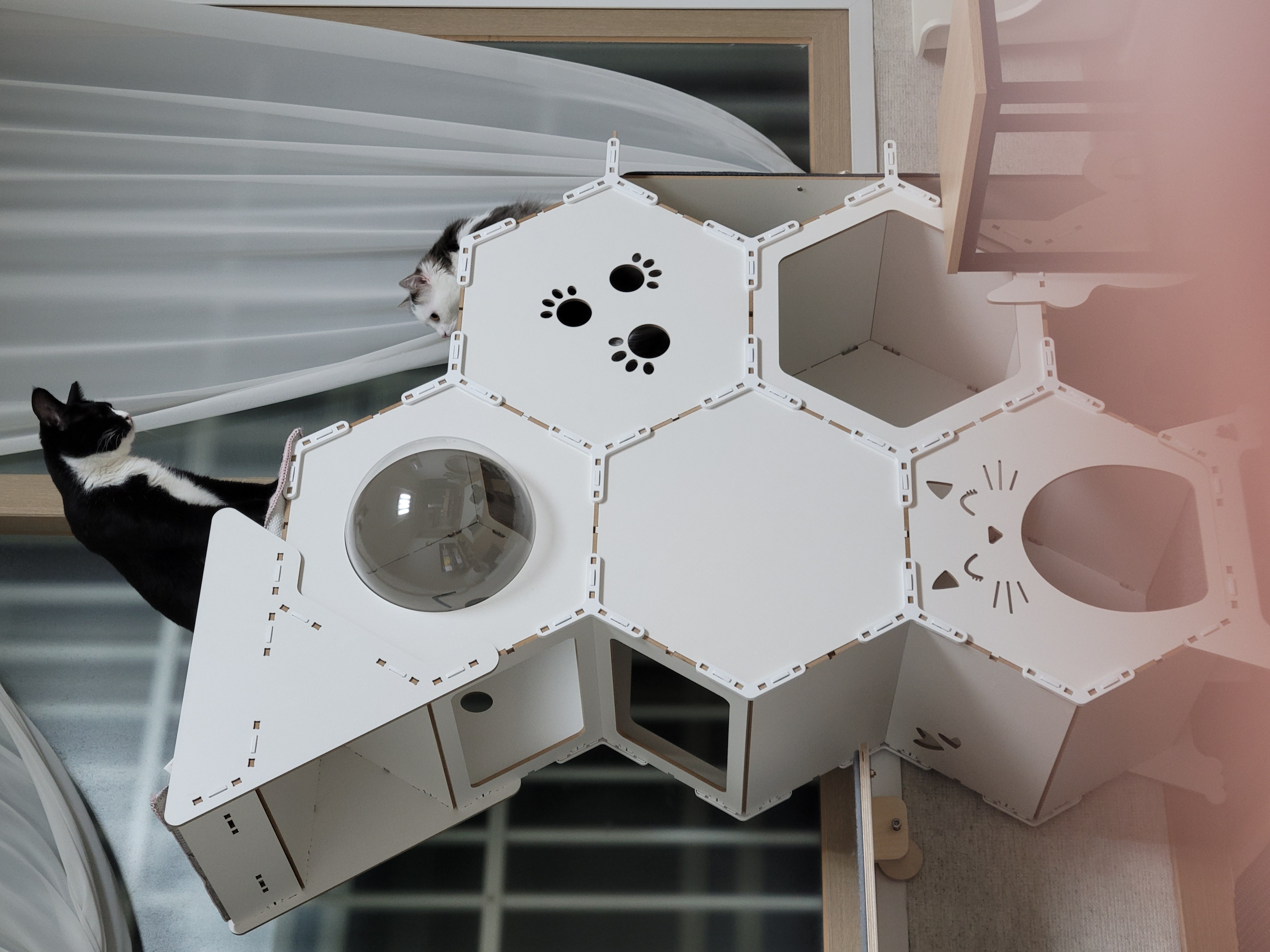 이루 !! 레오야 동생하고 잘 지내줘ㅜ 